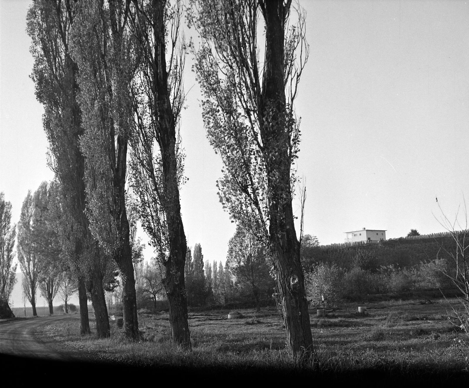 Hungary,Lake Balaton, Szigliget, Soponyai út a strandnál., 1969, Hunyady József, Fortepan #106552