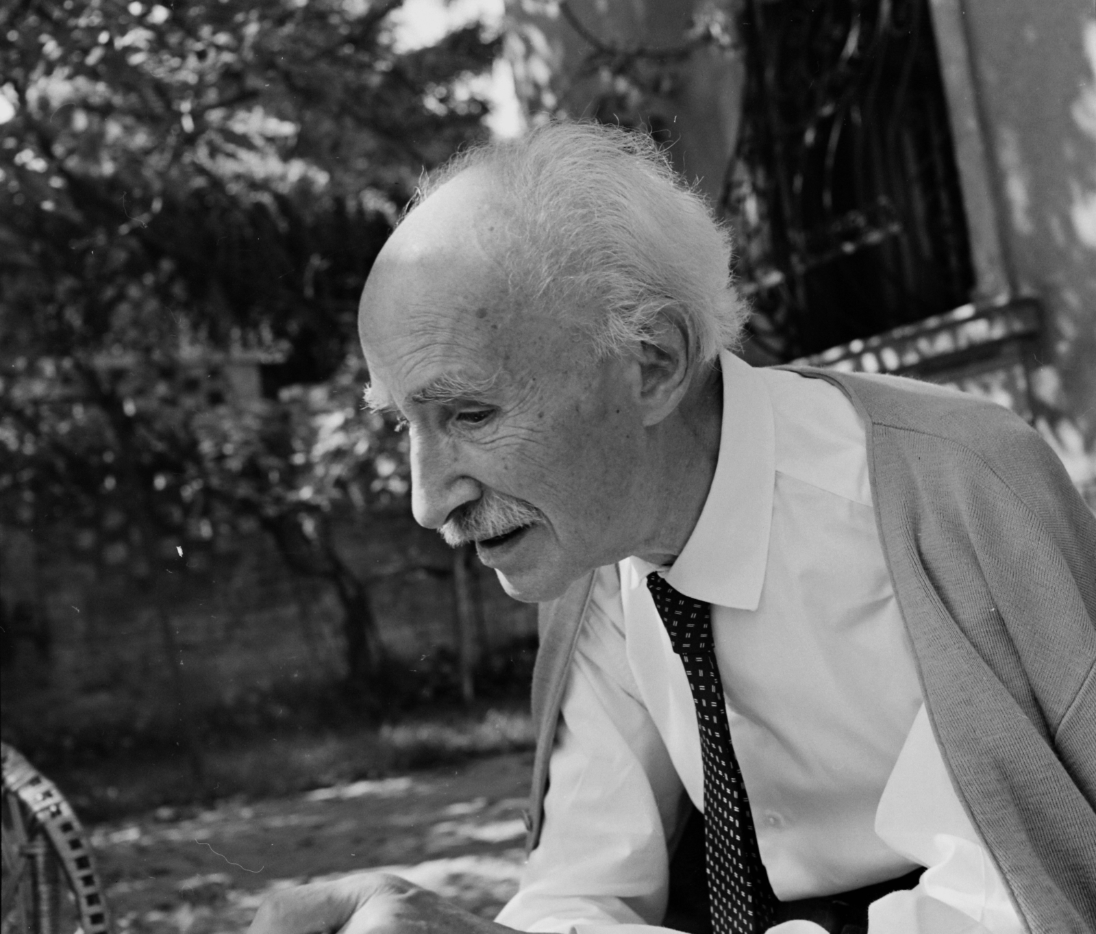 Magyarország, Budapest XII., Vas Gereben utca 13/b / Vércse utca 24/b számú ház kertje. Benedek Marcell író., 1963, Hunyady József, Budapest, Fortepan #106796