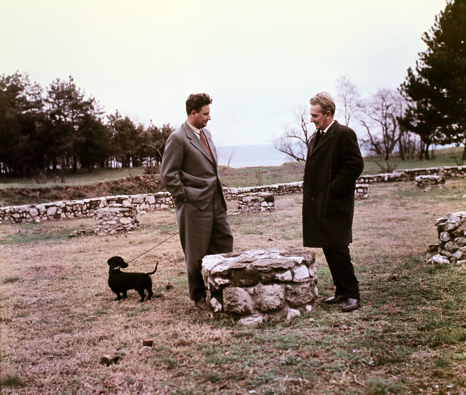 Hungary, Zalavár, a Szent Adorján-bazilika romjai, jobbra dr. Sági Károly régész, történész, múzeumigazgató., 1967, Hunyady József, colorful, walking the dog, hands in pockets, Fortepan #106926