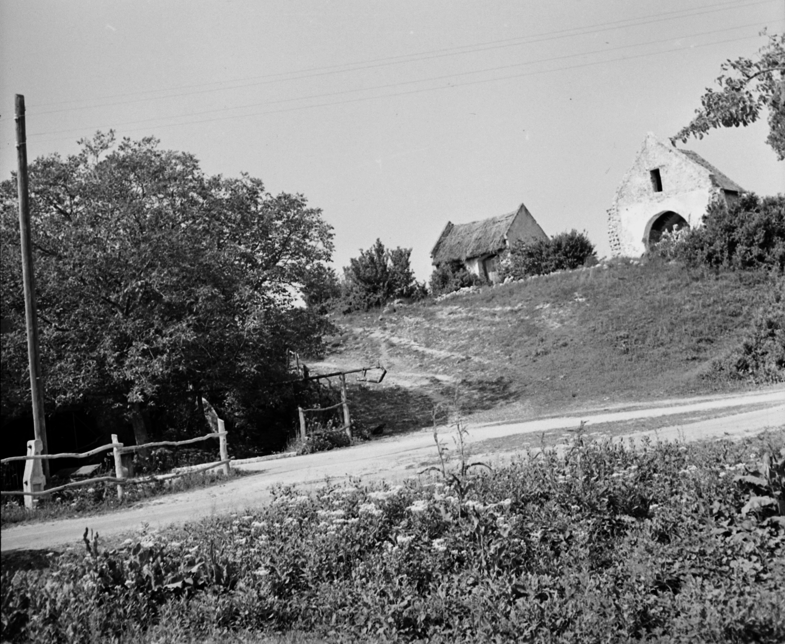 Hungary,Lake Balaton, Örvényes, Szent Imre utca., 1963, Hunyady József, thatch roof, Fortepan #107093