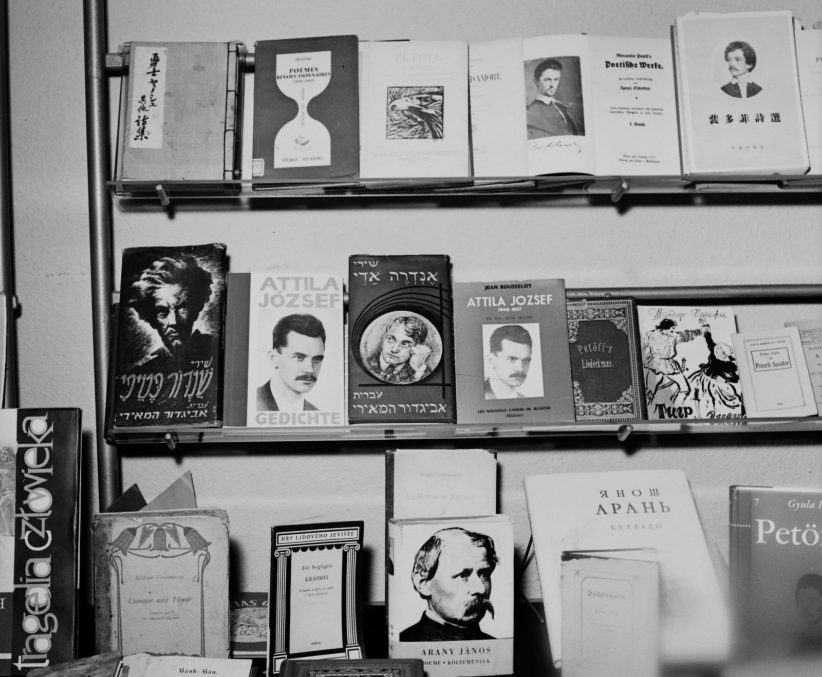 1963, Hunyady József, book, book-stand, Petőfi-portrayal, János Arany-portrayal, Attila József-portrayal, Fortepan #107122