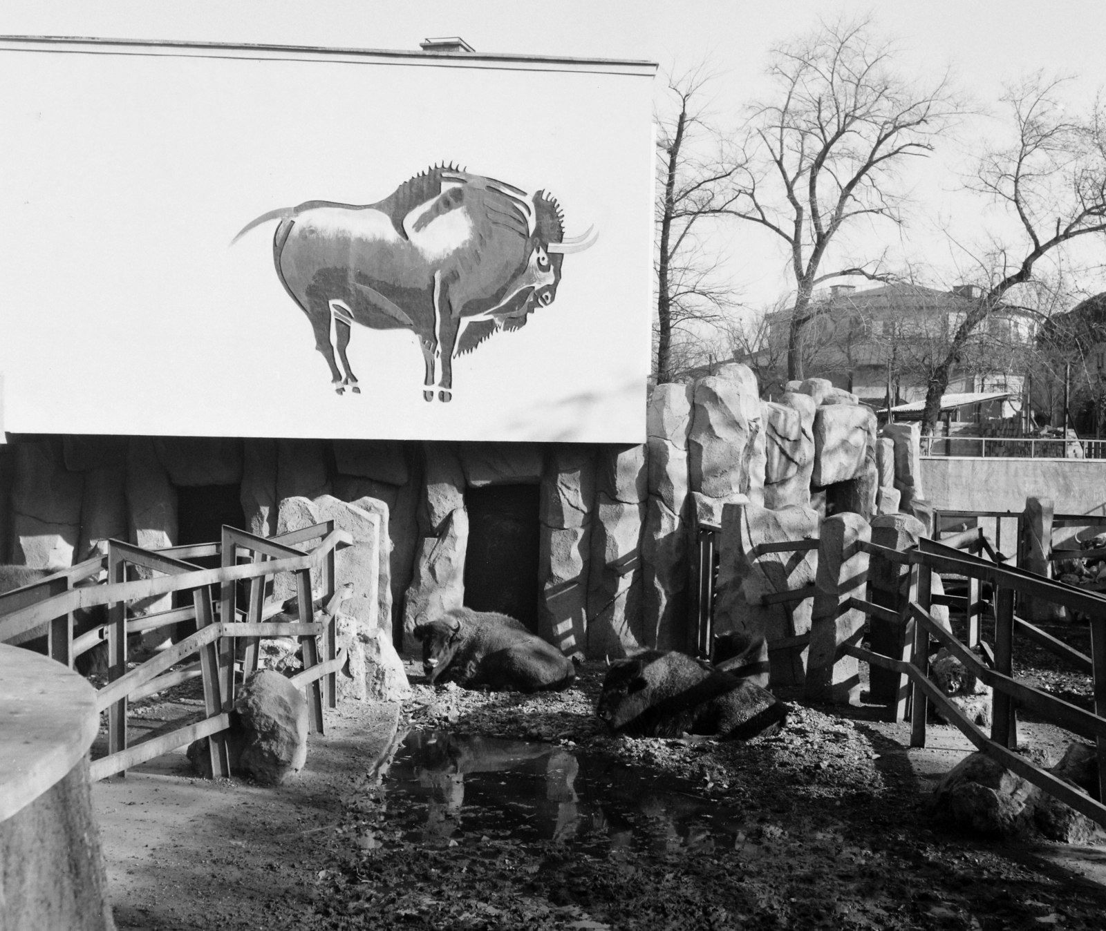 Magyarország, Városliget,Állatkert, Budapest XIV., 1964, Hunyady József, Budapest, Fortepan #107193