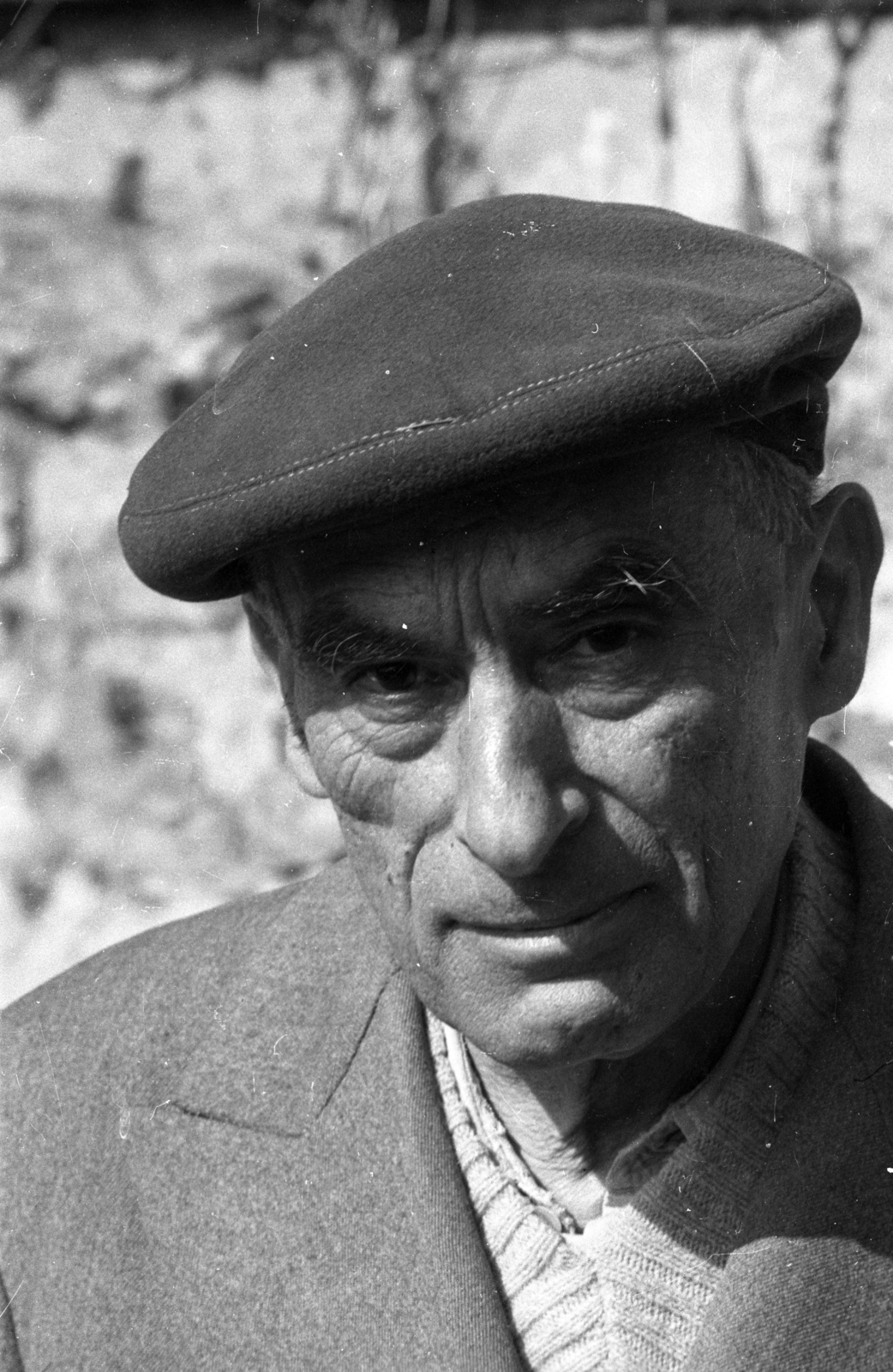Hungary,Lake Balaton, Szigliget, Esterházy-kastély, az Írók Alkotóházának parkja. Majoros István író, műfordító, filmesztéta, filmkritikus., 1966, Hunyady József, Fortepan #107244