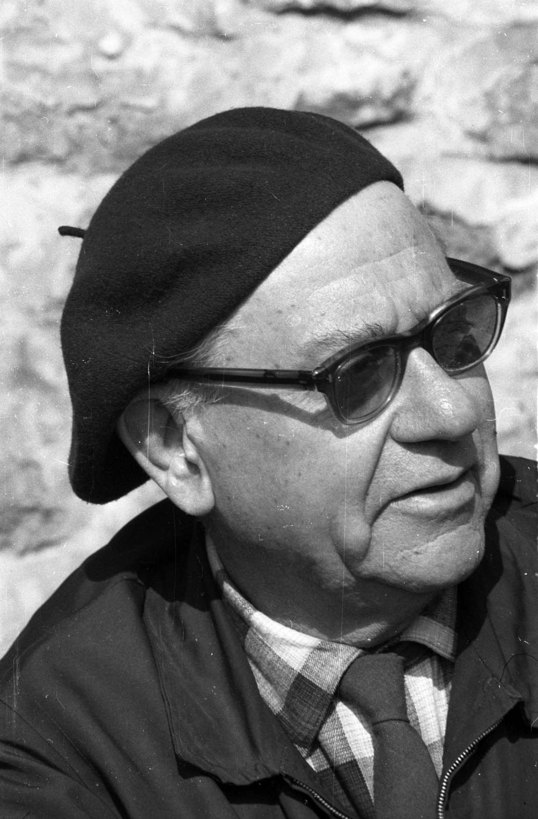 Magyarország,Balaton, Szigliget, Esterházy-kastély, az Írók Alkotóházának parkja, Fekete István író., 1966, Hunyady József, Fortepan #107247