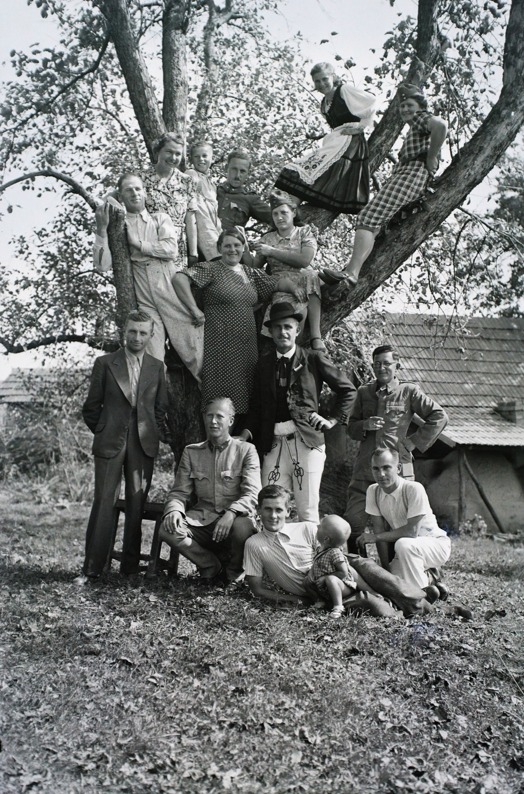 1940, Kókány Jenő, fán ülni, Fortepan #107446