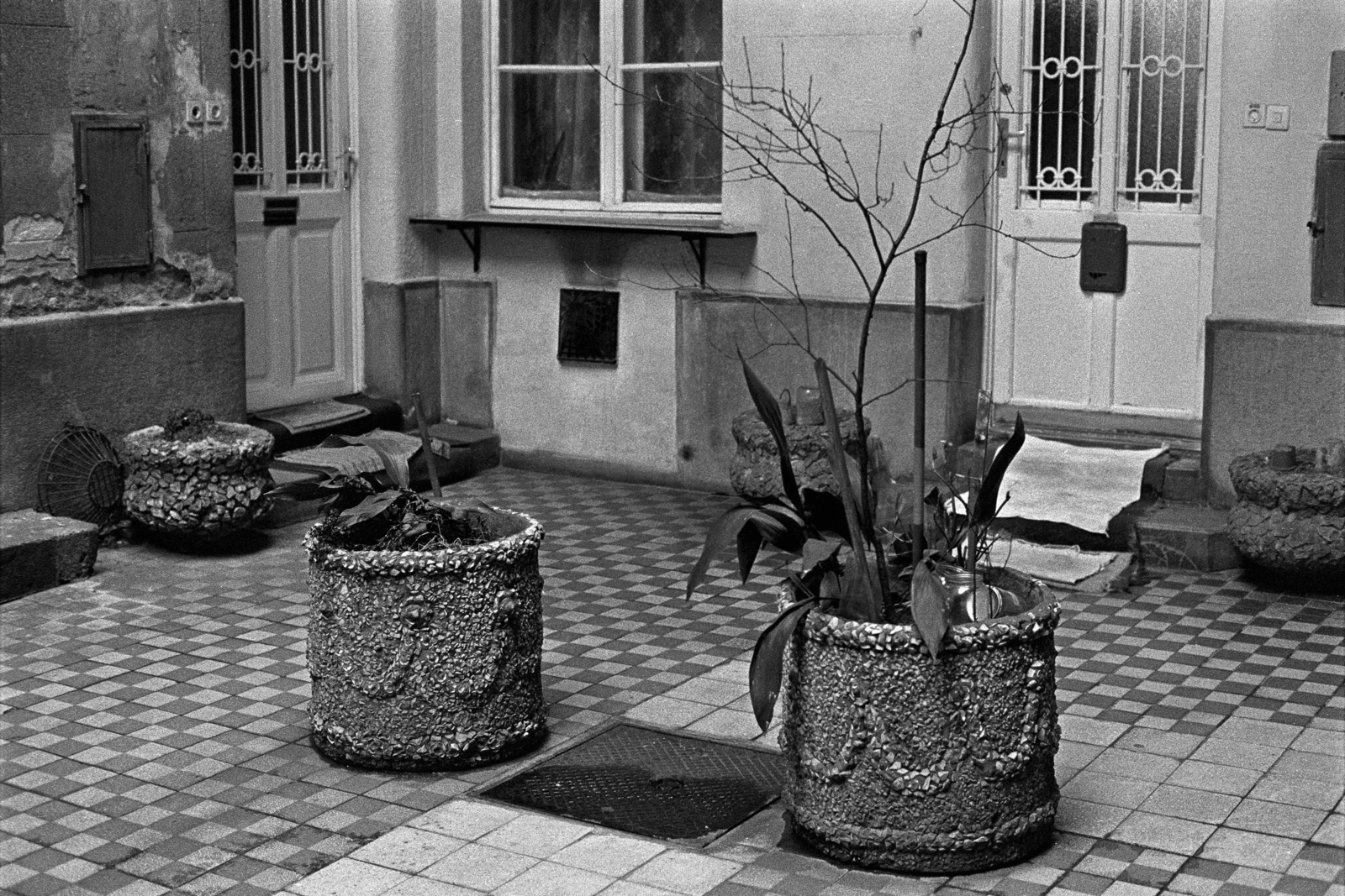 1981, Makovecz Benjamin, inner courtyard, planter, Fortepan #107765