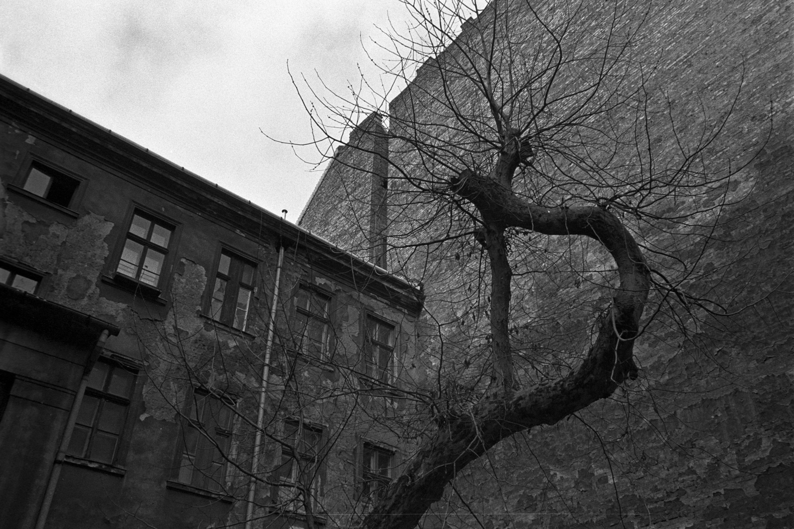 Hungary, Budapest VI., a felvétel az Eötvös utca 21. számú ház udvarában készült., 1981, Makovecz Benjamin, Budapest, firewall, wood, Fortepan #107796