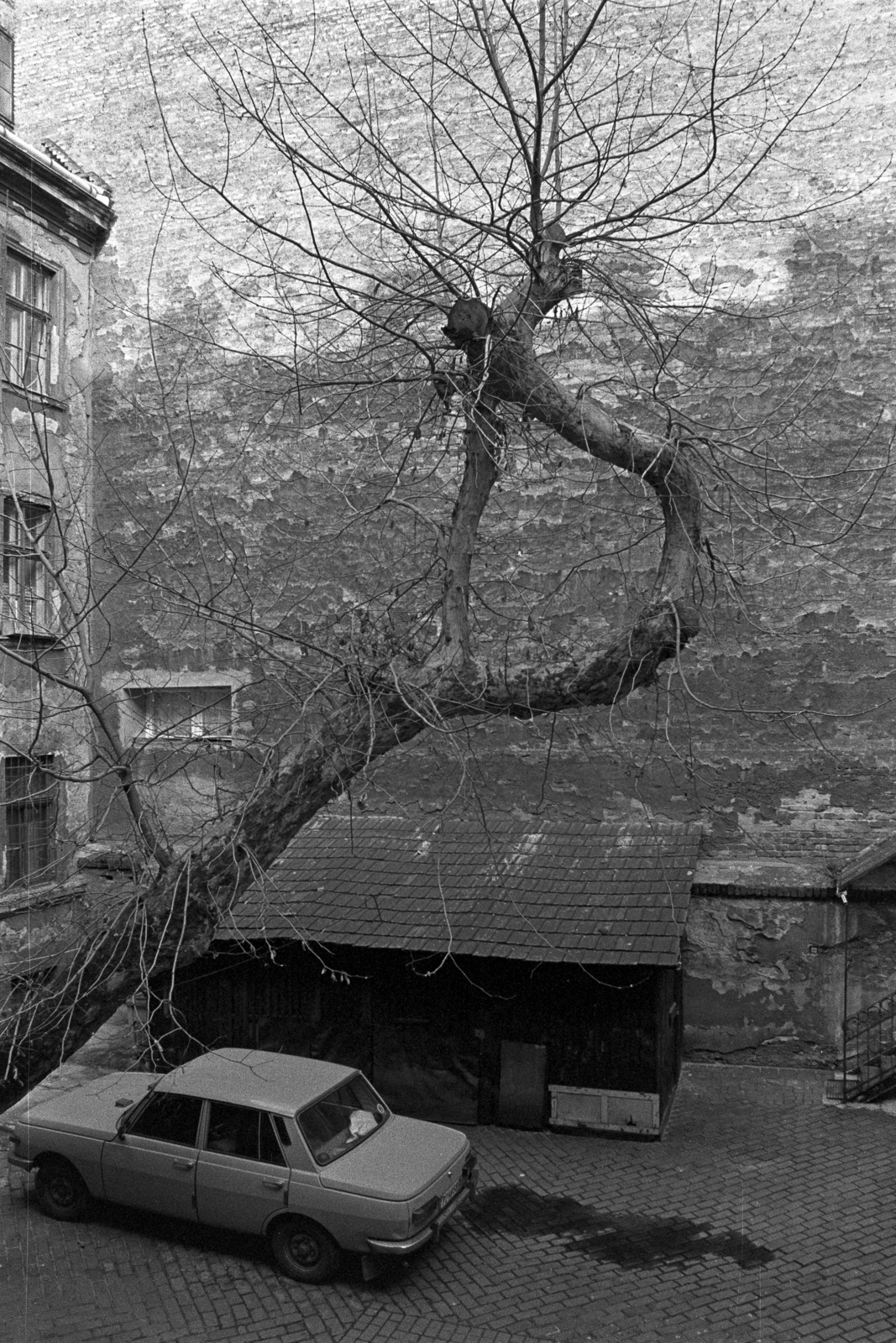 Hungary, Budapest VI., a felvétel az Eötvös utca 21. számú ház udvarában készült., 1981, Makovecz Benjamin, yard, firewall, woodshed, Budapest, inner courtyard, Fortepan #107797