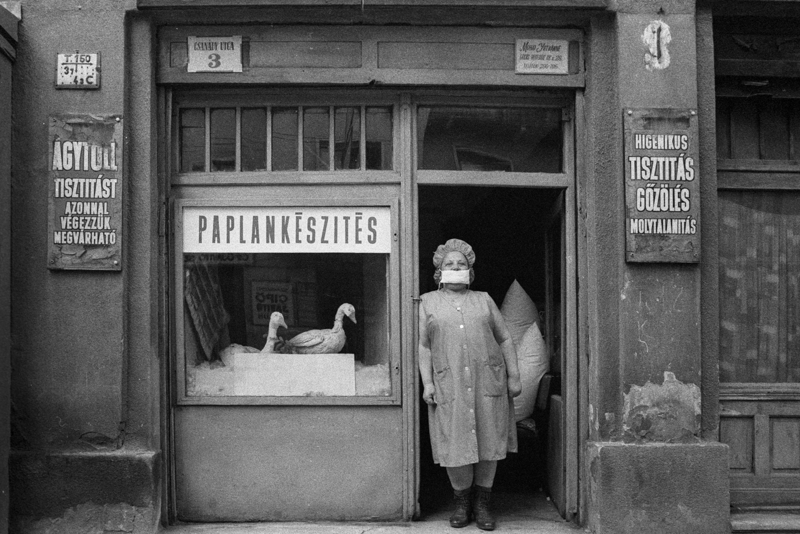 Magyarország, Budapest XIII., Csanády utca 3., paplankészítő műhely., 1981, Makovecz Benjamin, kirakat, ágynemű, liba, Budapest, Best of, házszám, munkaköpeny, szájmaszk, kisiparos, kihalt mesterség, Fortepan #107834