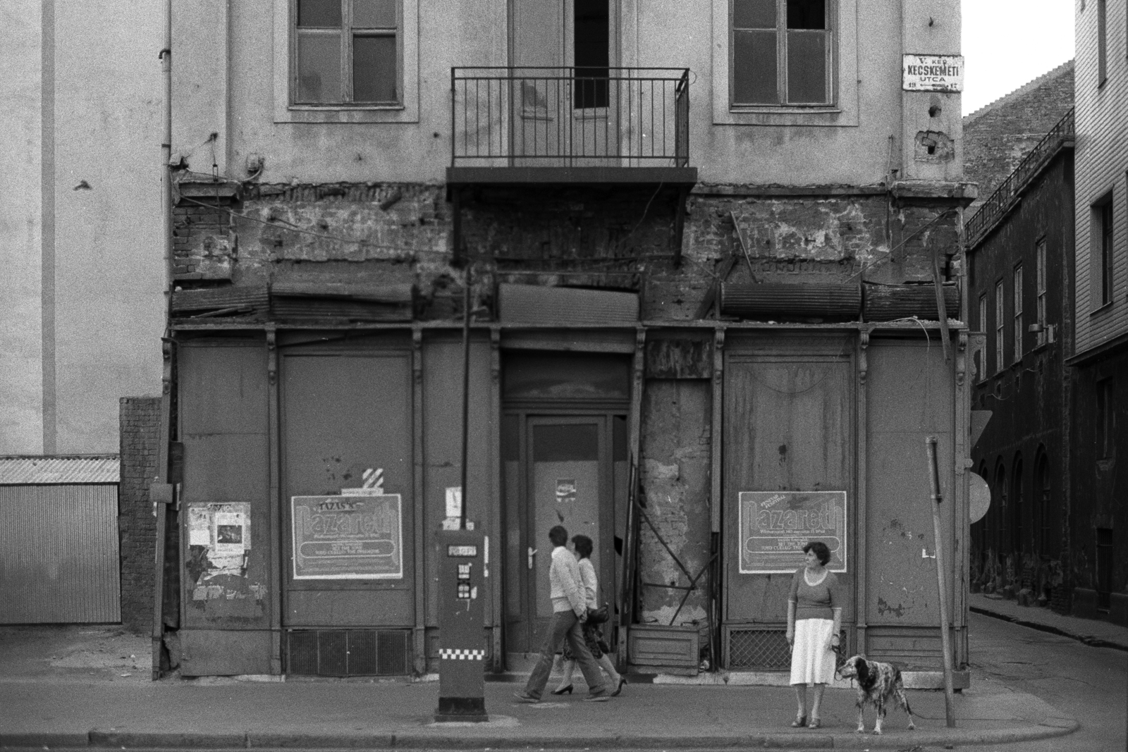 Hungary, Budapest V., Kecskeméti utca 17., 1983, Makovecz Benjamin, dog, Budapest, taxicab stand, street name sign, Best of, Fortepan #108009