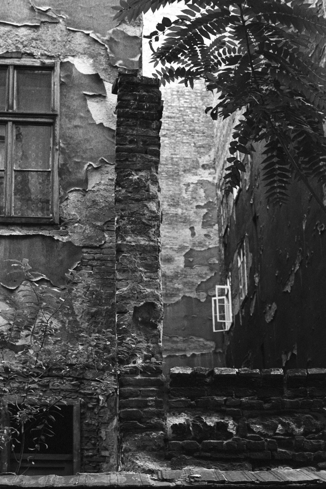 1984, Makovecz Benjamin, window, firewall, wall, Fortepan #108130