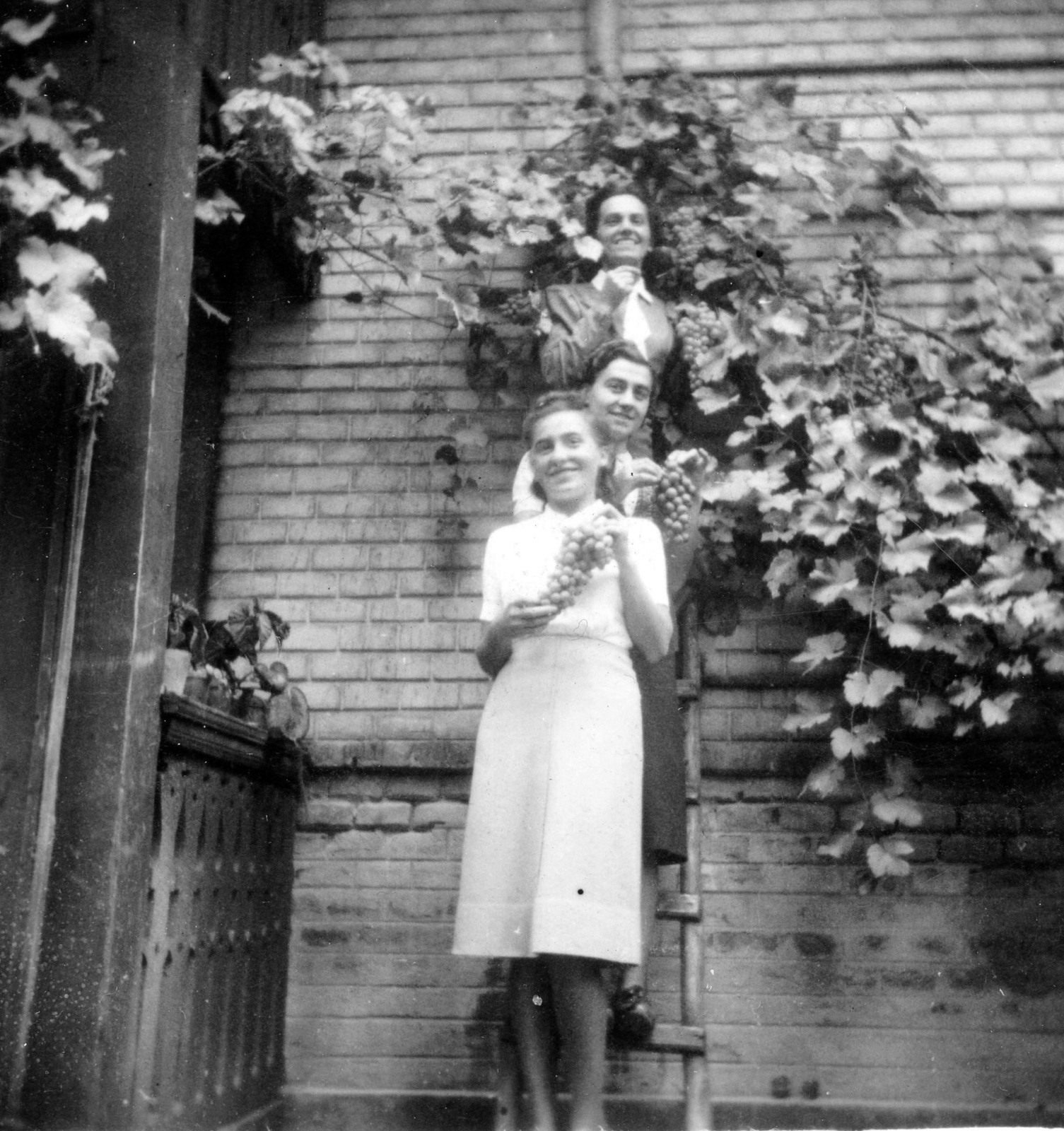 1938, Mészöly Leonóra, grape, Fortepan #10829