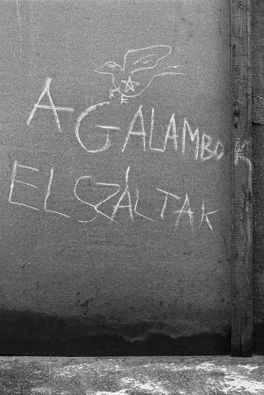 Magyarország, Sárospatak, 1985, Makovecz Benjamin, felirat, graffiti, Fortepan #108295