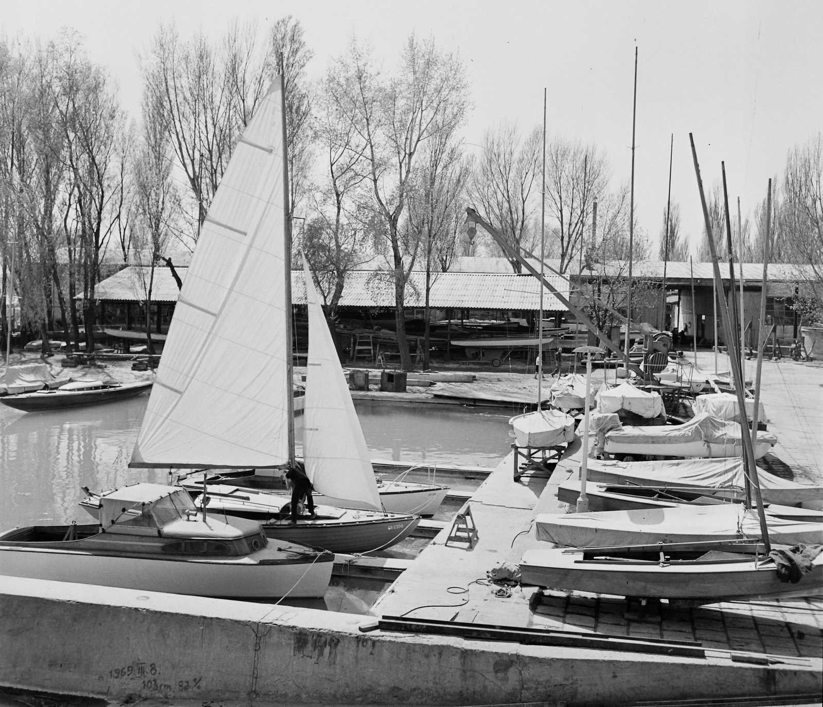 Magyarország, Balatonfüred, Yacht Club., 1969, Bauer Sándor, vitorláshajó, kikötő, Fortepan #109223