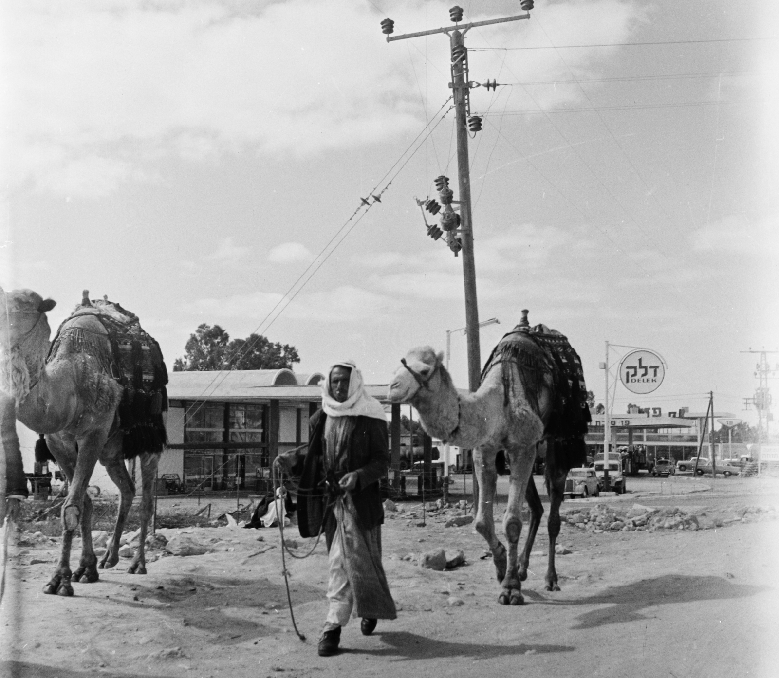 Izrael, 1964, Bauer Sándor, Fortepan #109357