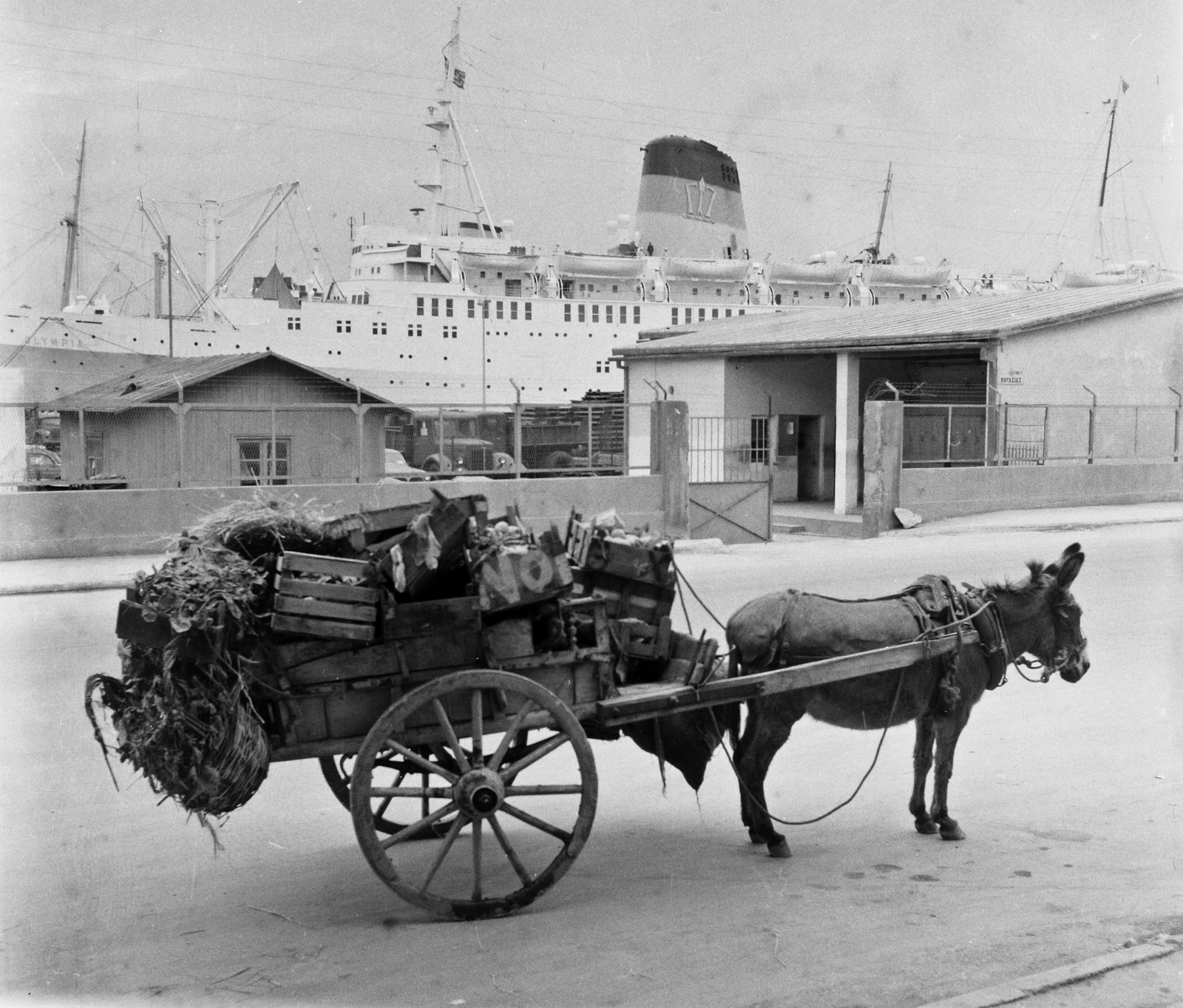 Greece, Athens, Pireusz, kikötő., 1964, Bauer Sándor, Fortepan #109392