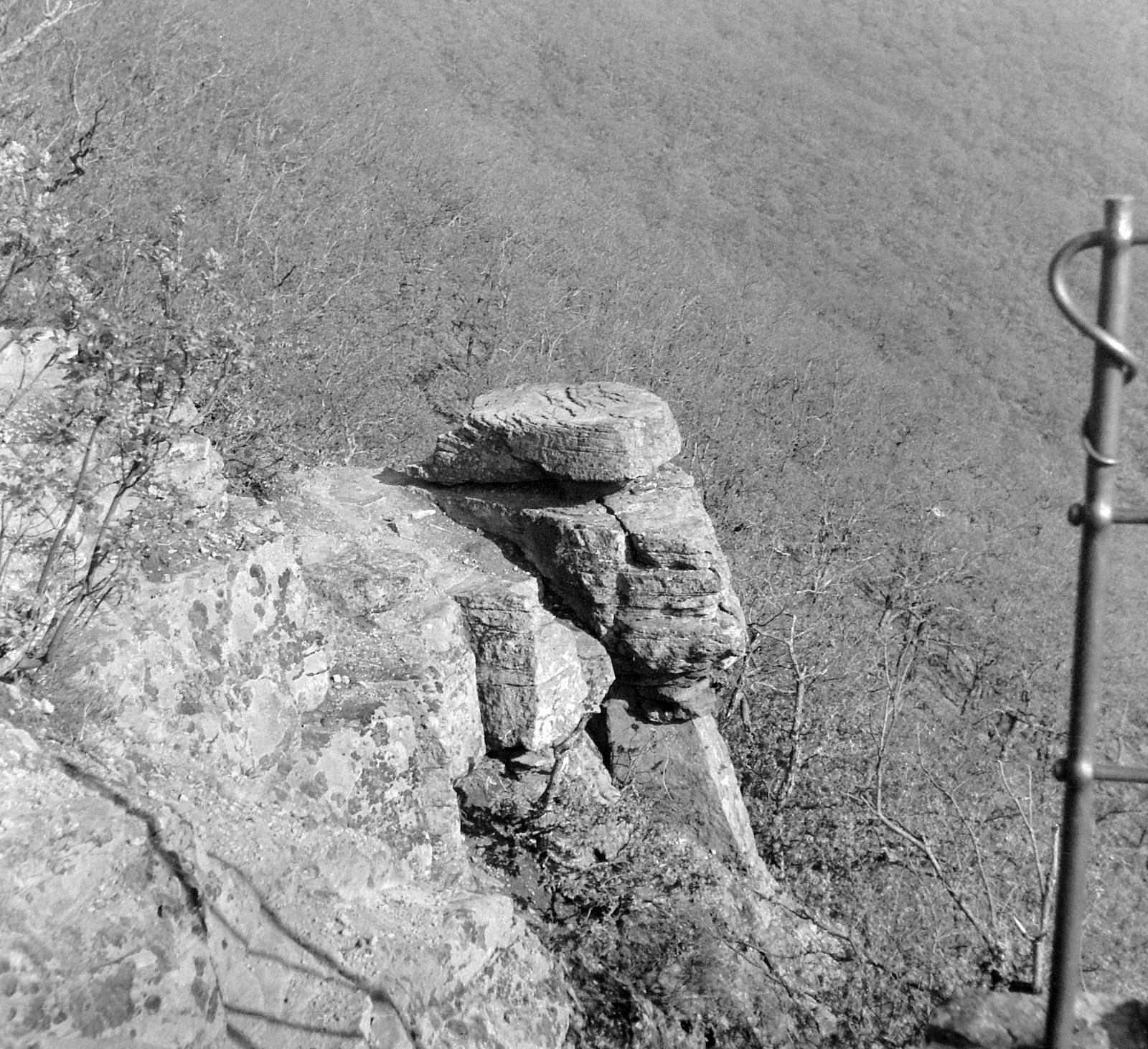 Magyarország,Mecsek,Jakab-hegy, Kővágószőlős, Zsongorkő., 1950, Gyöngyi, szikla, képarány: négyzetes, Fortepan #10942