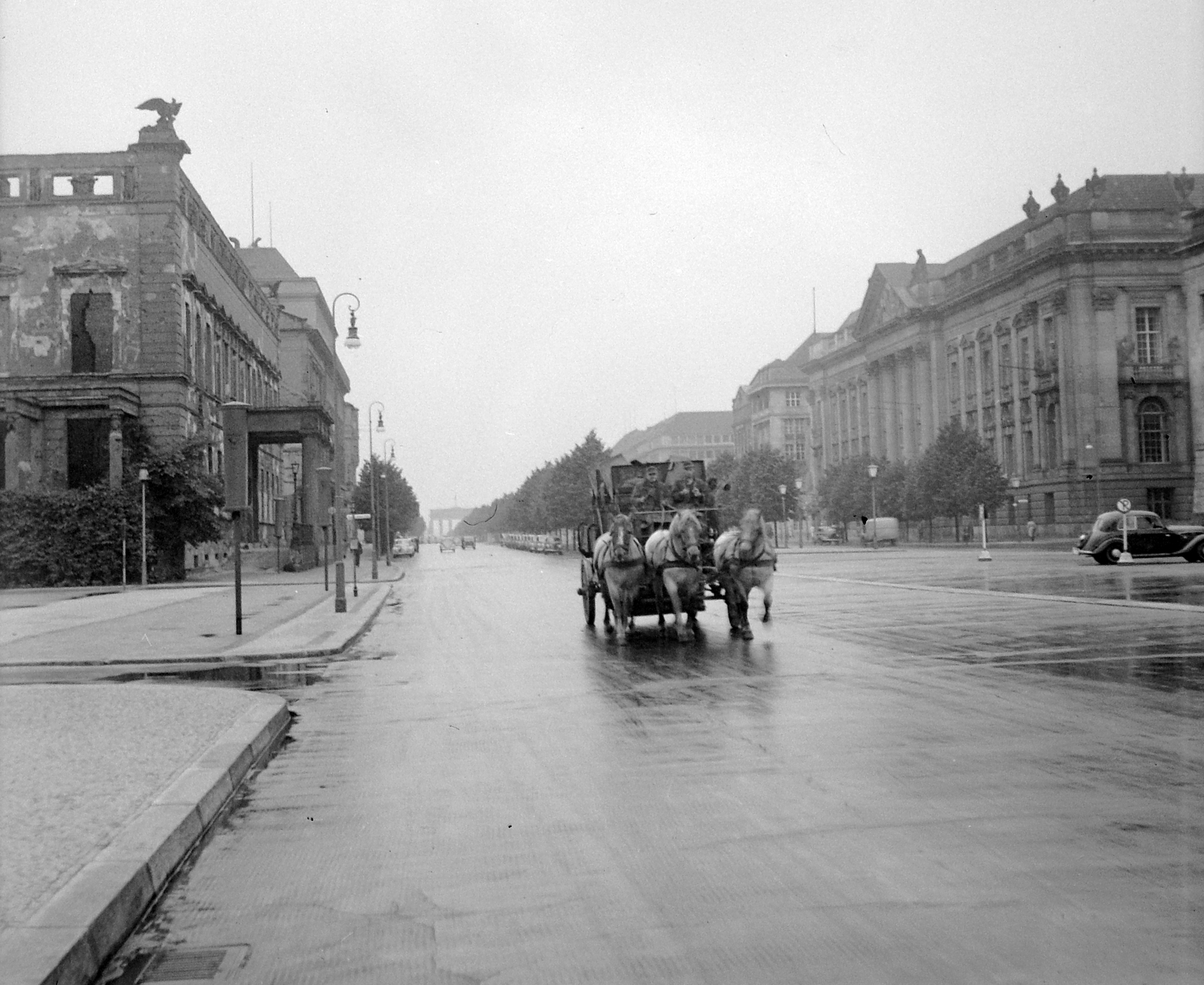 Germany, Berlin, Kelet-Berlin, Unter den Linden. Háttérben a Brandenburgi-kapu., 1956, Gyöngyi, Horse-drawn carriage, university, GDR, lamp post, teamster, library, East-Berlin, avenue, Fortepan #10954