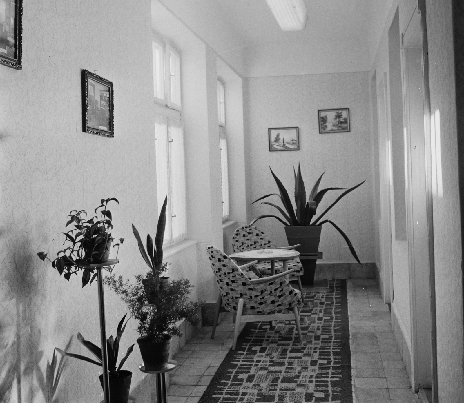 Magyarország, Komárom, Bajcsy-Zsilinszky utca 8., Hotel Béke., 1963, Bauer Sándor, szálloda, Fortepan #109650