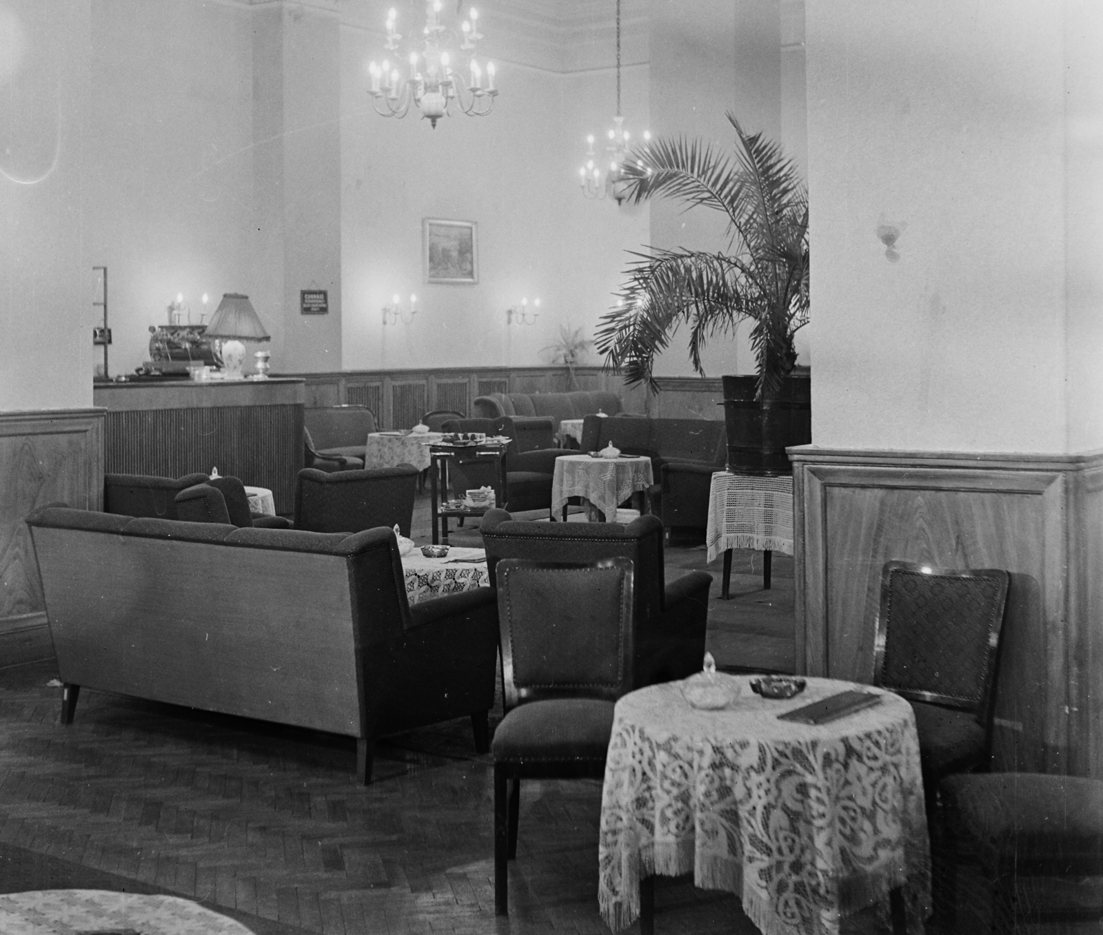 Hungary, Budapest VII., a Szabadság szálló hallja., 1957, Bauer Sándor, palm tree, sofa, Budapest, Fortepan #110025