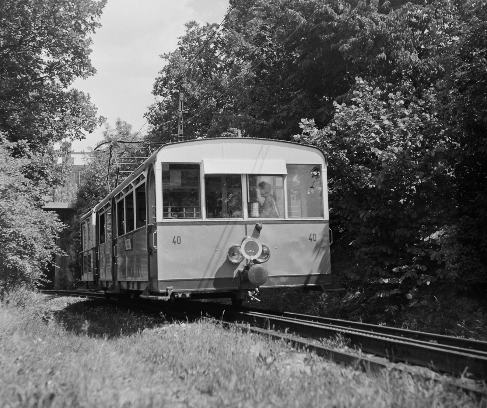 Magyarország, Széchenyihegy, Budapest XII., Fogaskerekű., 1959, Bauer Sándor, erdő, sínpálya, fogaskerekű vasút, Budapest, Fortepan #110188