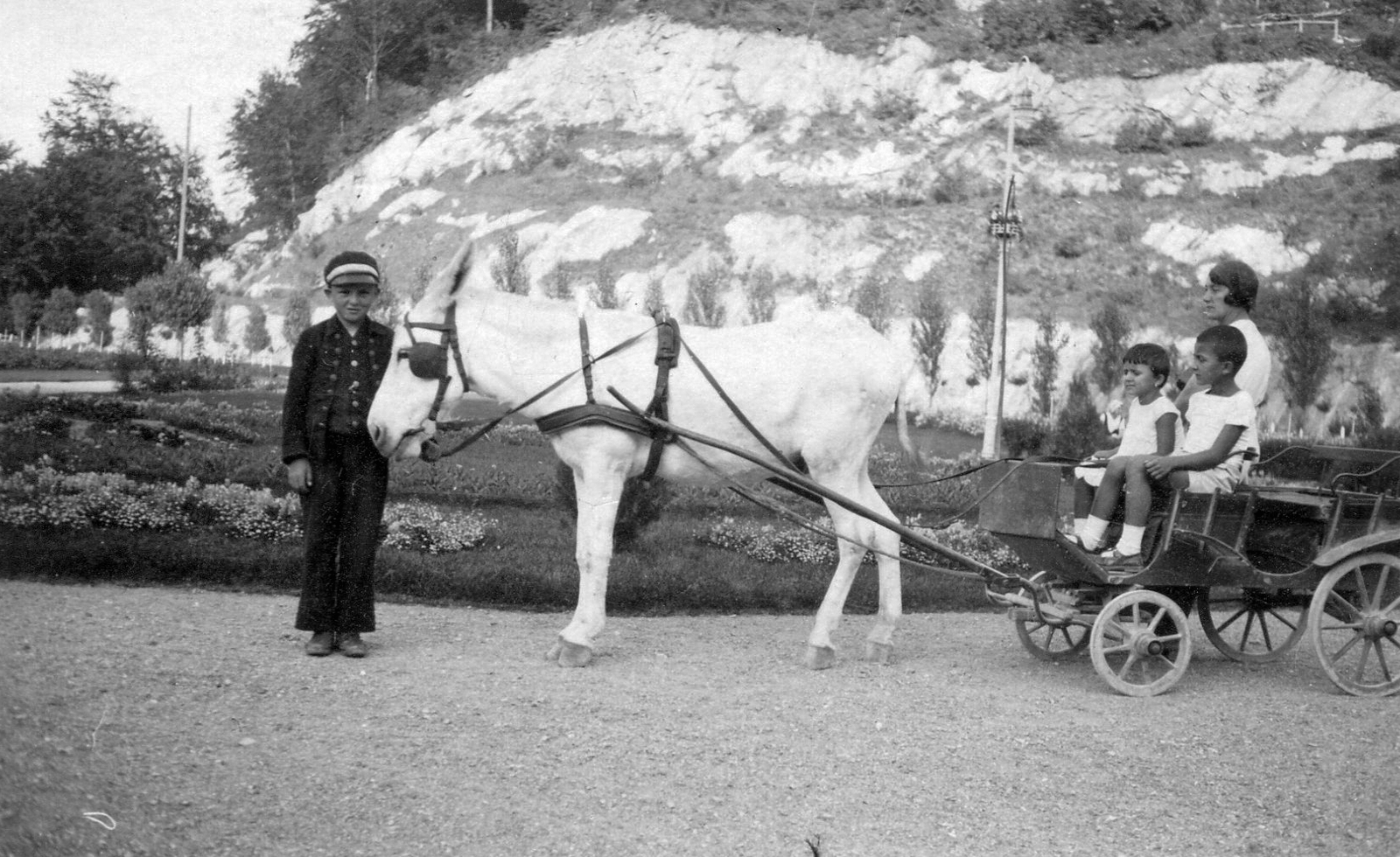 1931, Mészöly Leonóra, tableau, Horse-drawn carriage, donkey, coach, kids, woman, zoo, Fortepan #11032