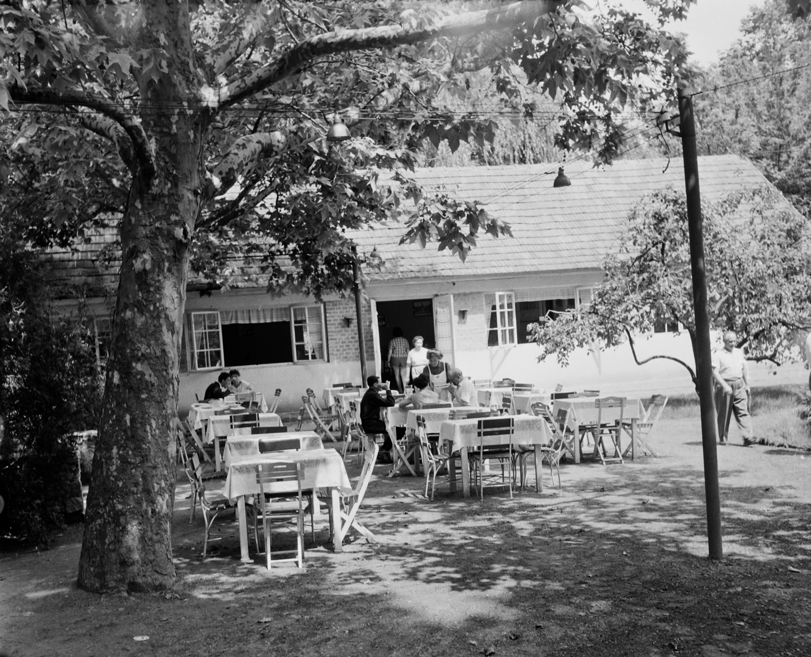 Hungary, Balatonszemes, Ady Endre utca 19., Fasor panzió., 1959, Bauer Sándor, Fortepan #110457