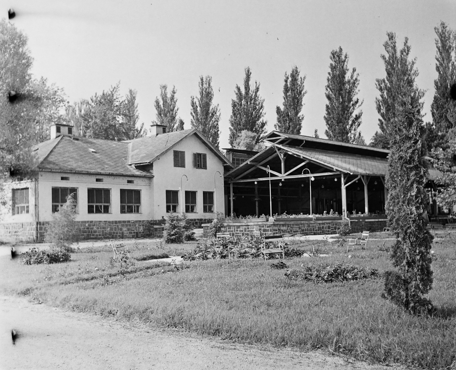 1959, Bauer Sándor, terrace, fir, Fortepan #110511