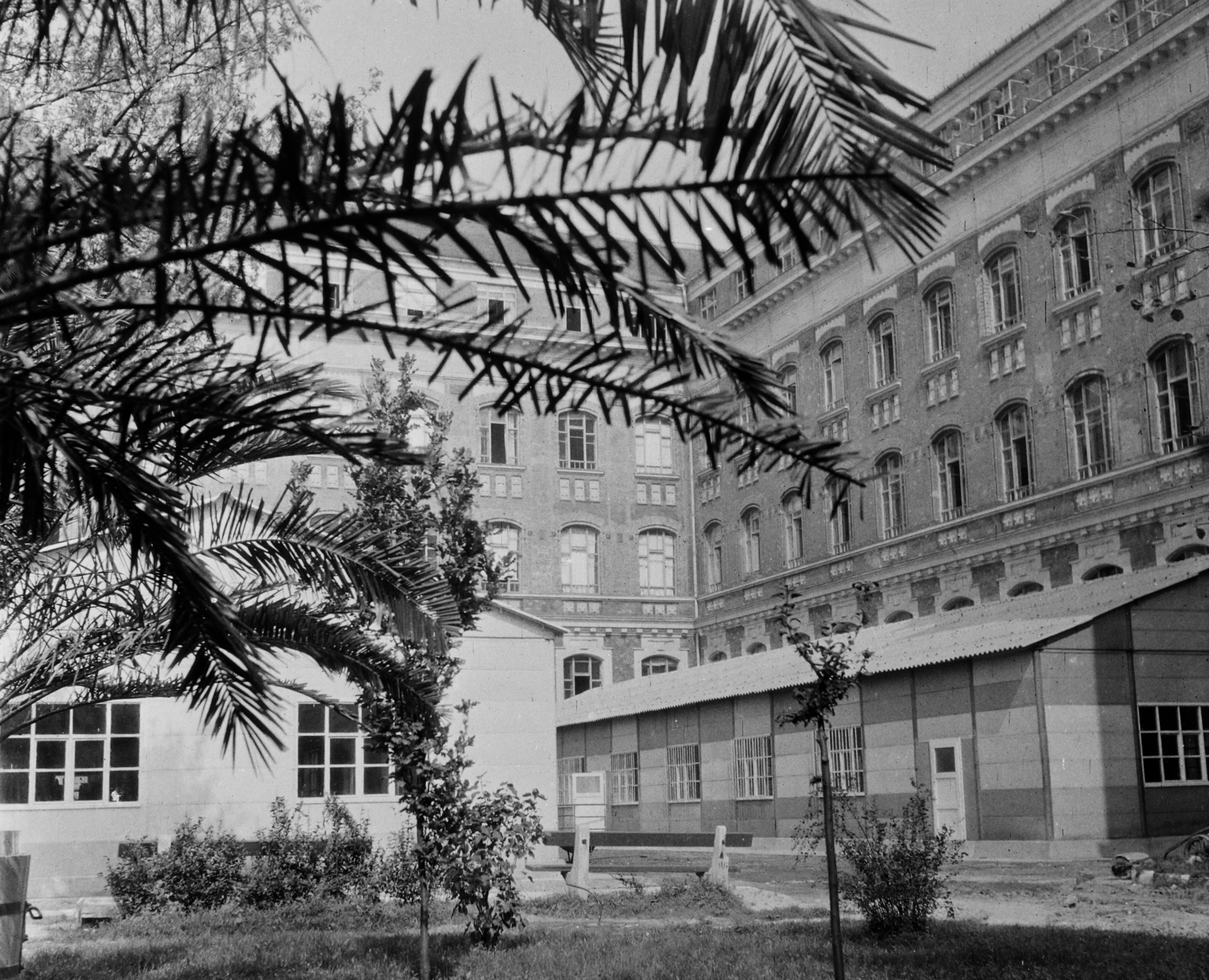 Hungary, Budapest XI., Műegyetem rakpart, a Budapesti Műszaki Egyetem (később Budapesti Műszaki és Gazdaságtudományi Egyetem) központi épületének udvara., 1963, Bauer Sándor, Budapest, Budapest University of Technology, Fortepan #110610