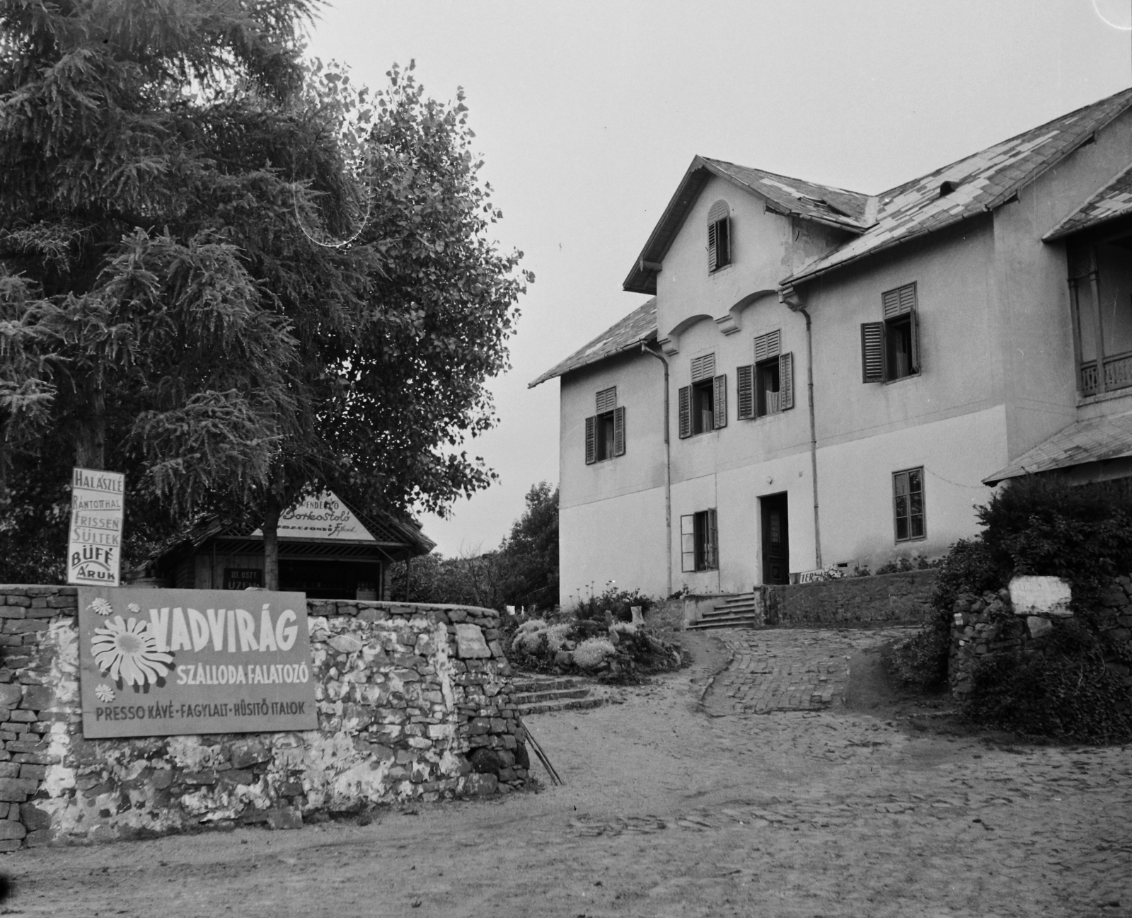 Hungary,Lake Balaton, Badacsonytomaj, Kisfaludy Sándor utca, Vadvirág szálloda., 1961, Bauer Sándor, Fortepan #110644