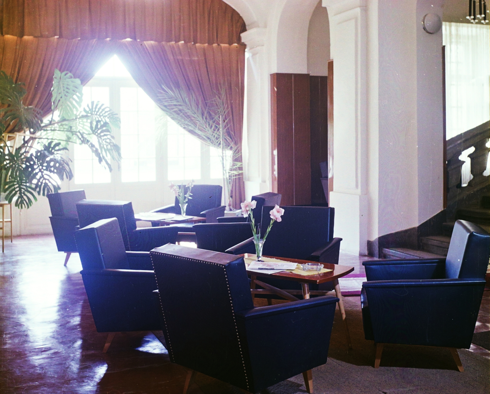 Hungary, Székesfehérvár, Fő (Március 15.) utca 10., Velence (előtte és később Magyar Király) szálló, hall., 1967, Bauer Sándor, colorful, Monstera deliciosa, Fortepan #110692