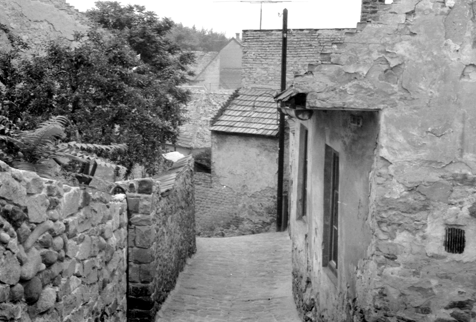 Hungary, Szentendre, Szamár-hegy, Kígyó utca a Rab Ráby tér felől nézve, balra az 1-es számú ház., 1964, Mészöly Leonóra, street view, Fortepan #11070