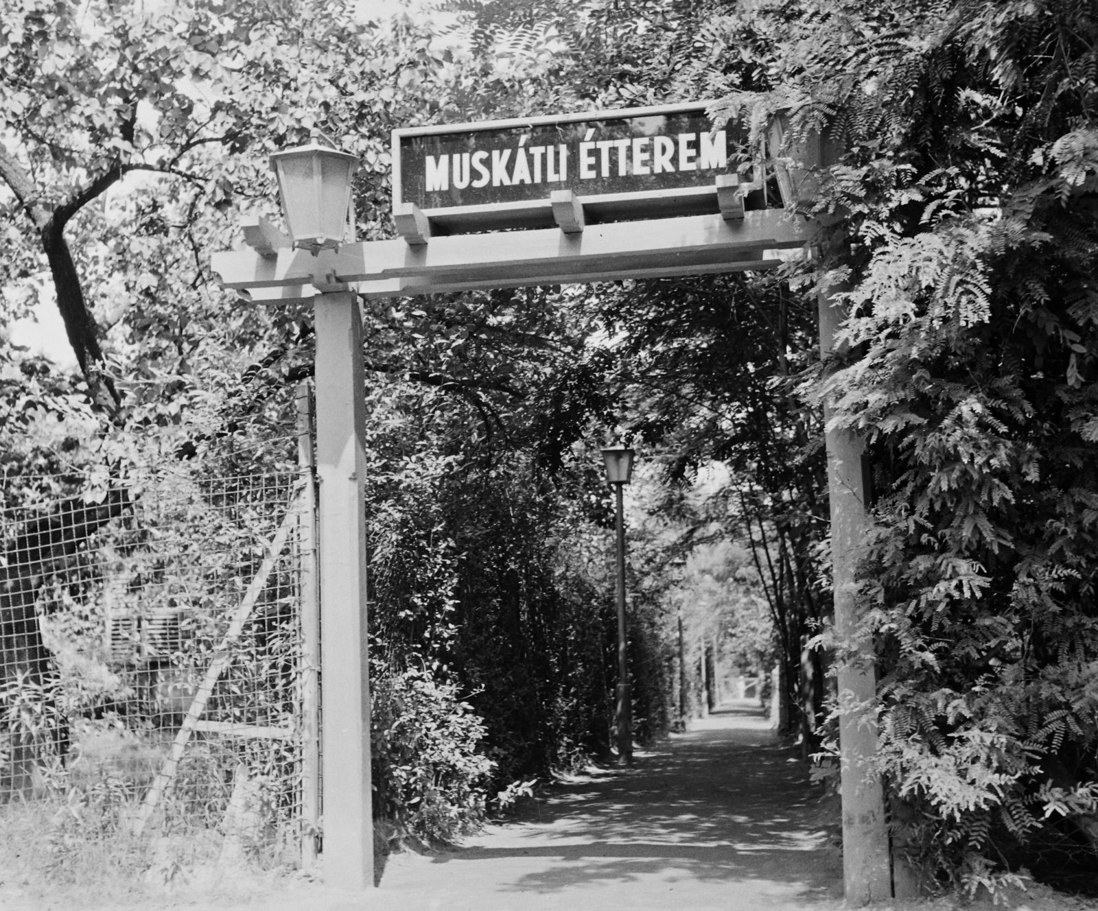 Hungary, Budapest XI., Kamaraerdő, Muskátli kisvendéglő., 1970, Bauer Sándor, Budapest, Fortepan #110792