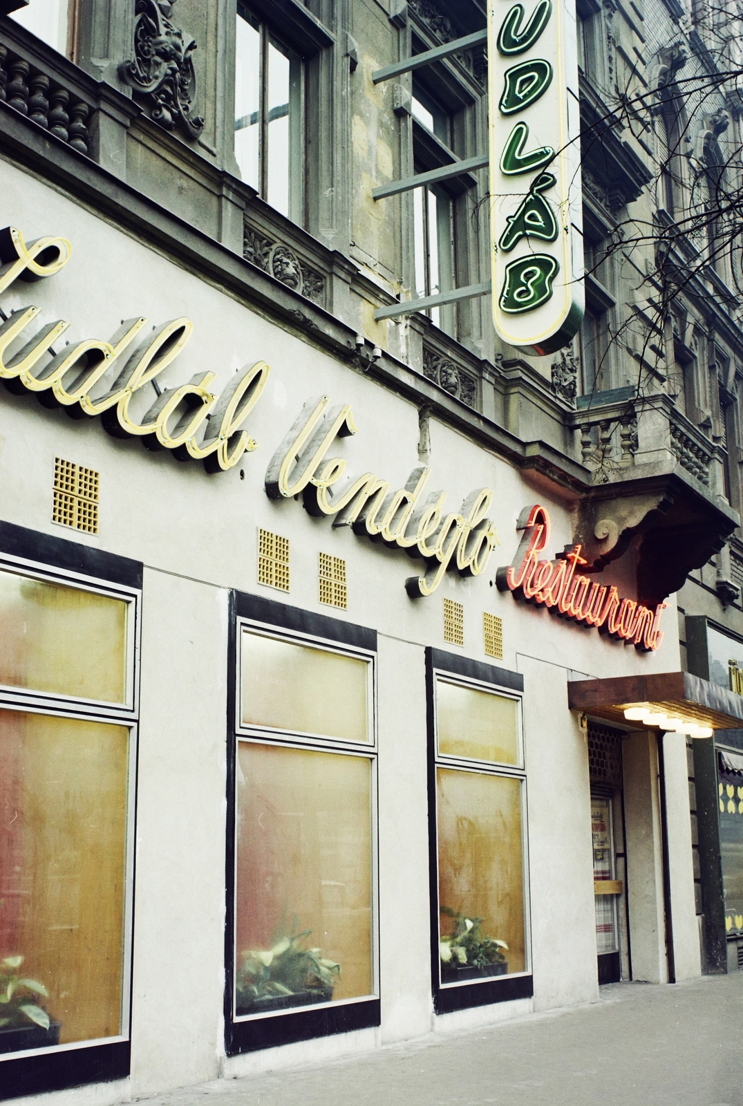 Hungary, Budapest VII., Erzsébet (Lenin) körút 39., Lúdláb étterem., 1973, Bauer Sándor, colorful, Show window, neon sign, Budapest, Fortepan #110972