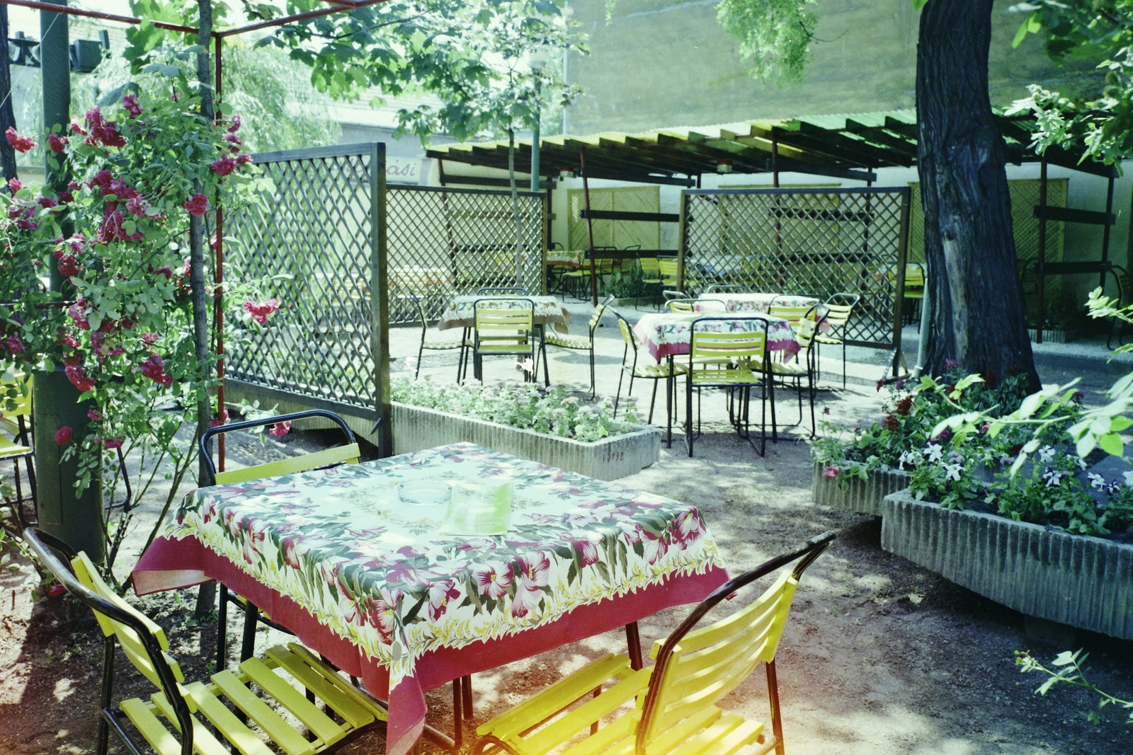 Hungary, Budapest XIV., Erzsébet királyné útja 118., a Zuglói étterem kerthelyisége., 1974, Bauer Sándor, colorful, Budapest, restaurant, table, Fortepan #111028