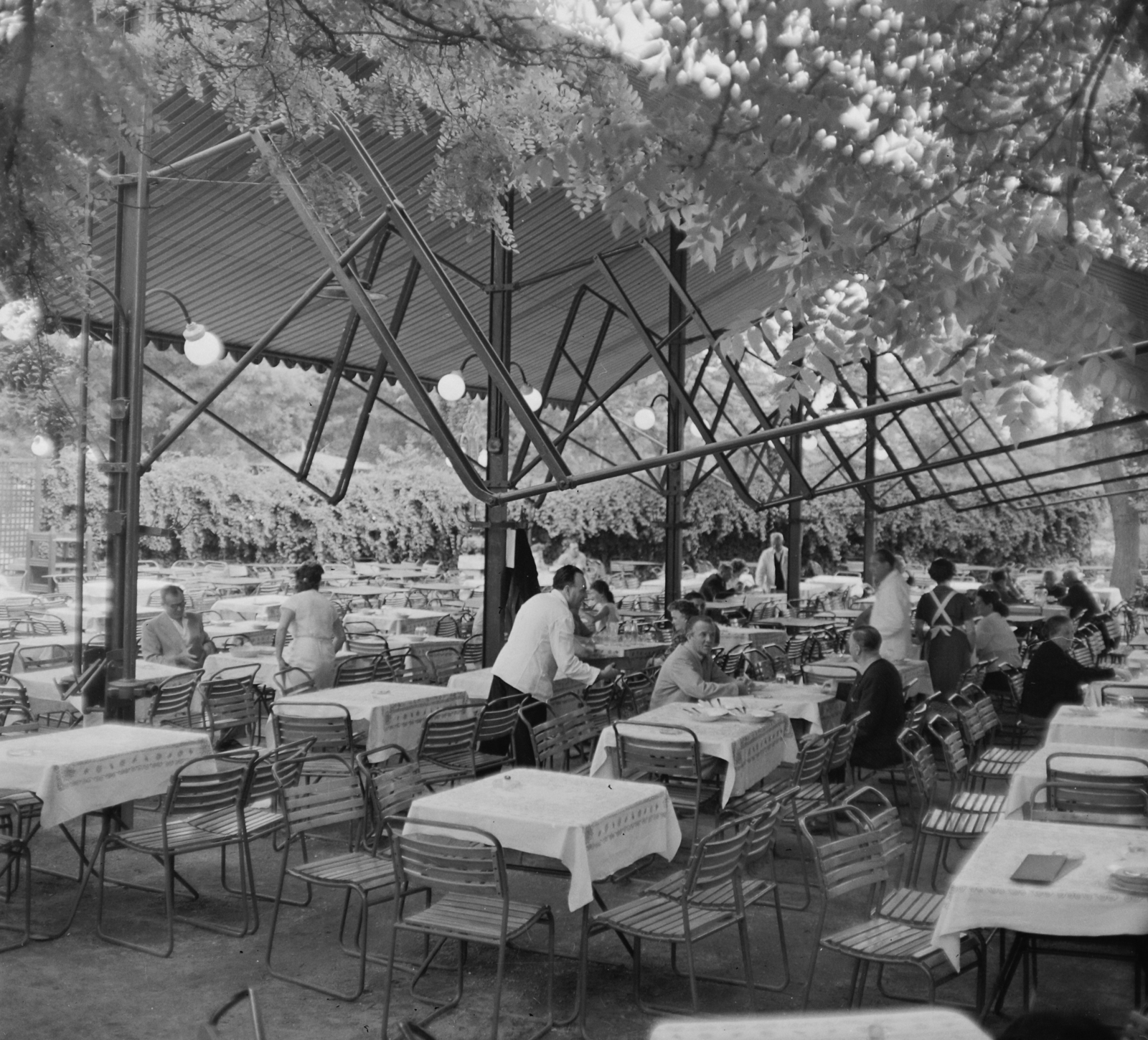 Hungary, Budapest XIV., Állatkerti körút 3., Ezerjó étterem., 1960, Bauer Sándor, waiter, Budapest, tilt, Fortepan #111126