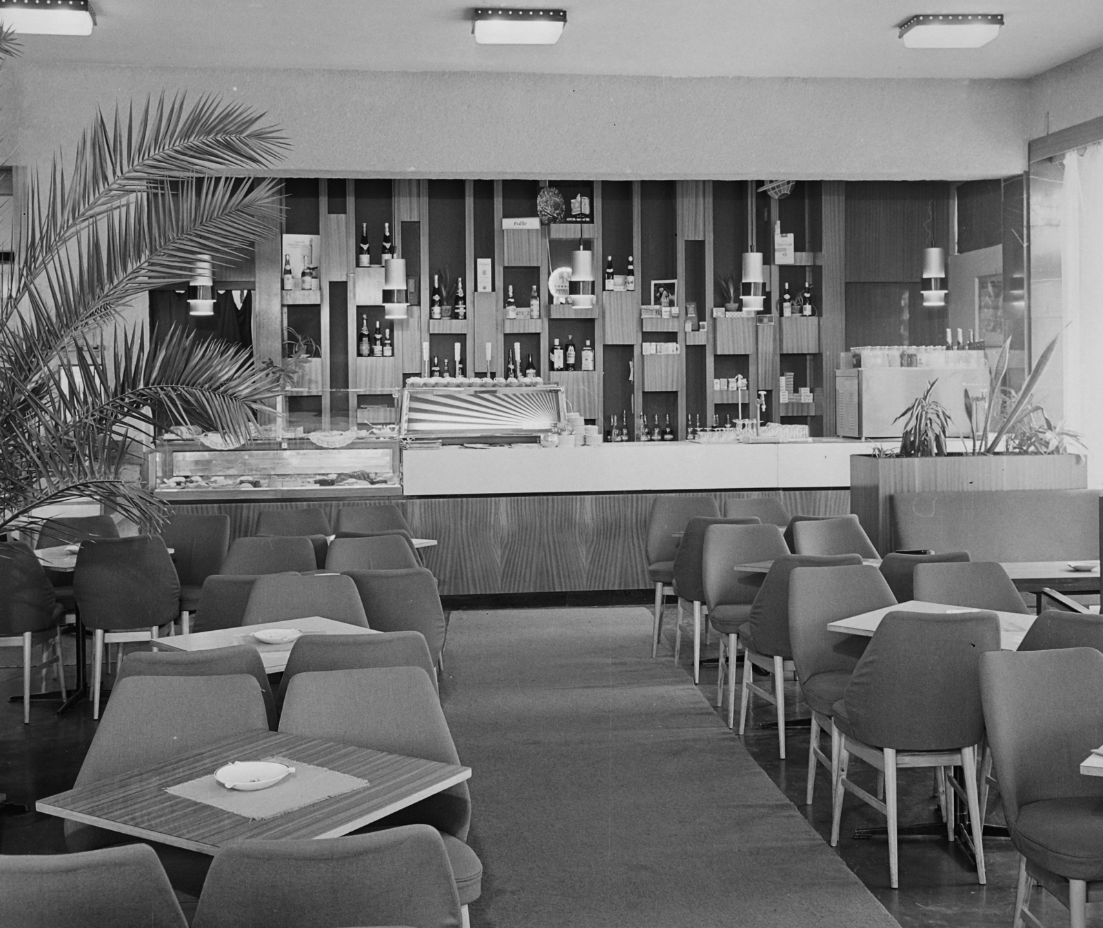 Hungary, Békéscsaba, Kőrös Hotel, presszó., 1970, Bauer Sándor, palm branch, Fortepan #111476