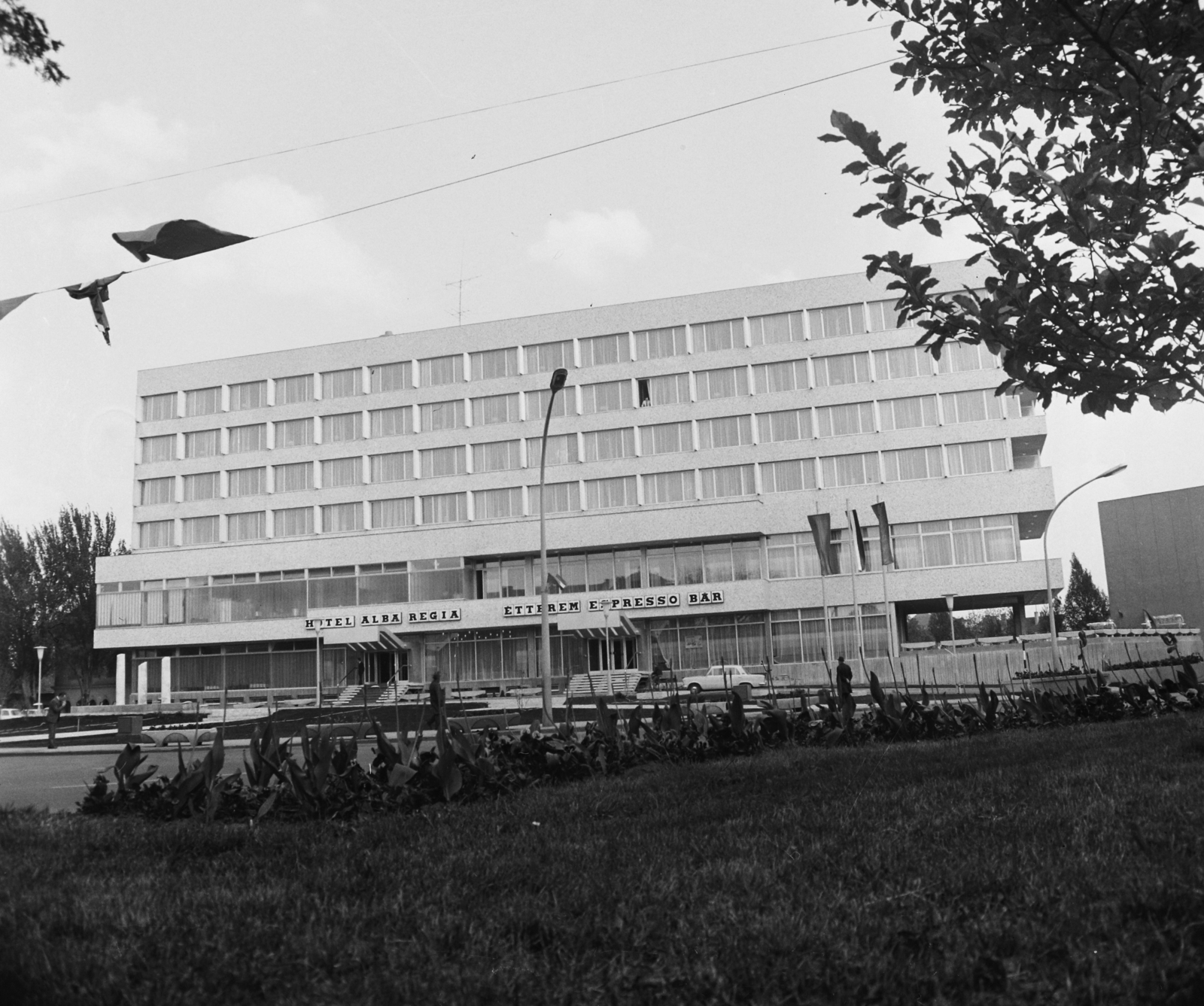 Hungary, Székesfehérvár, Hotel Alba Regia., 1972, Bauer Sándor, hotel, neon sign, Fortepan #111866
