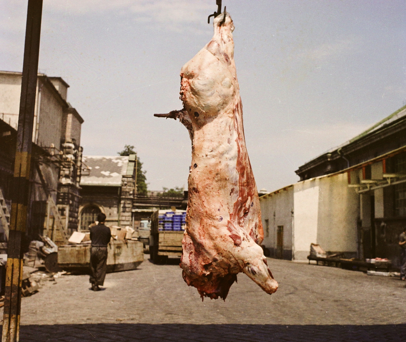 Hungary, Budapest IX., Soroksári út, Közvágóhíd., 1969, Bauer Sándor, colorful, Budapest, slaughterhouse, Fortepan #111878