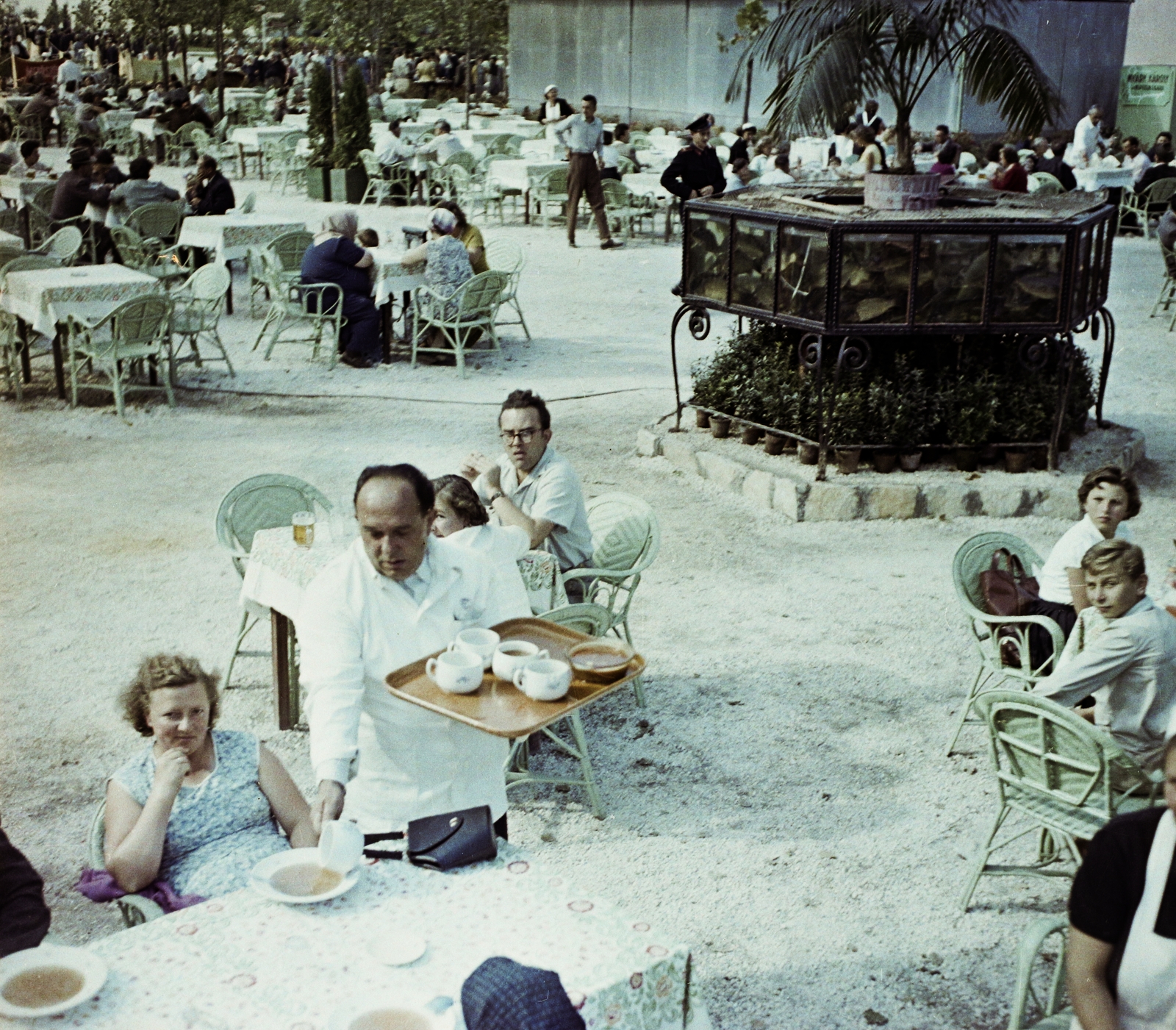 Magyarország, Budapest X., Albertirsai úti vásár területe, Országos Mezőgazdasági Kiállítás és Vásár., 1958, Bauer Sándor, színes, kerthelyiség, Budapest, Best of, Fortepan #112088