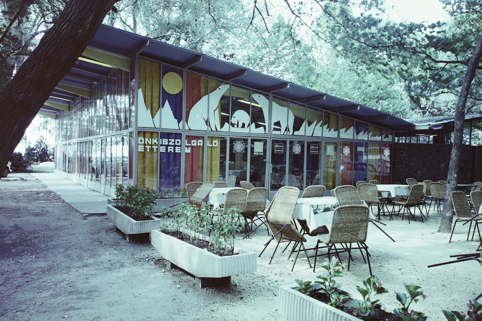 Hungary,Lake Balaton, Siófok, Jeges Mackó, mirelit termékekből készített ételeket árusító önkiszolgáló étterem és presszó., 1971, Bauer Sándor, colorful, Fortepan #112361