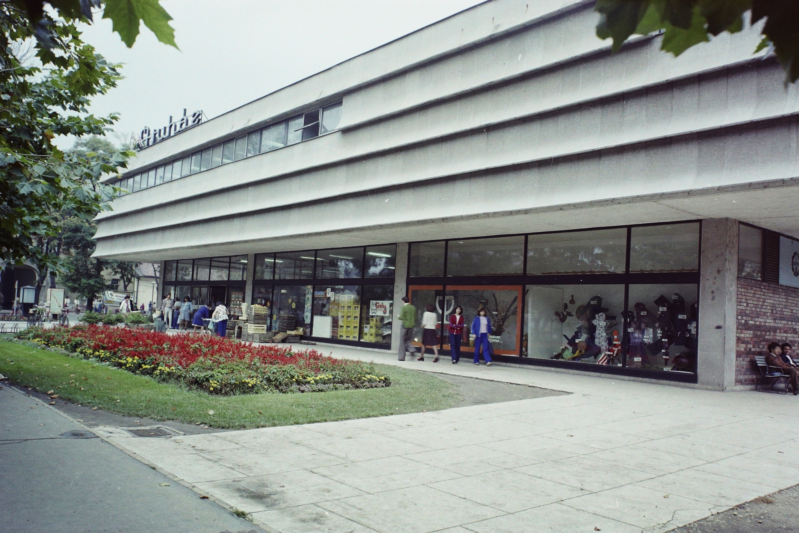 Magyarország, Gödöllő, Szabadság tér, Szövetkezeti Áruház., 1974, Bauer Sándor, színes, kirakat, járda, járókelő, áruház, neon felirat, virágágyás, Fortepan #112451