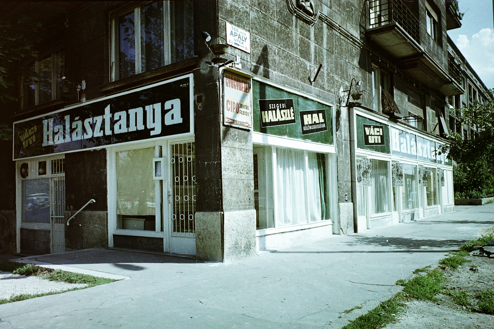 Hungary, Budapest XIII., Váci út 47. (Apály utca sarok), Halásztanya vendéglő., 1971, Bauer Sándor, colorful, Show window, Budapest, Fortepan #112576
