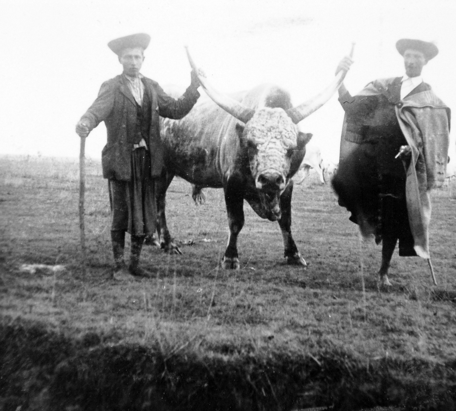 Hungary, Hortobágy, Hortobágyi kirándulás., 1937, Gyöngyi, hat, cattle, folk costume, archaic mantle, cowboy, Fortepan #11269