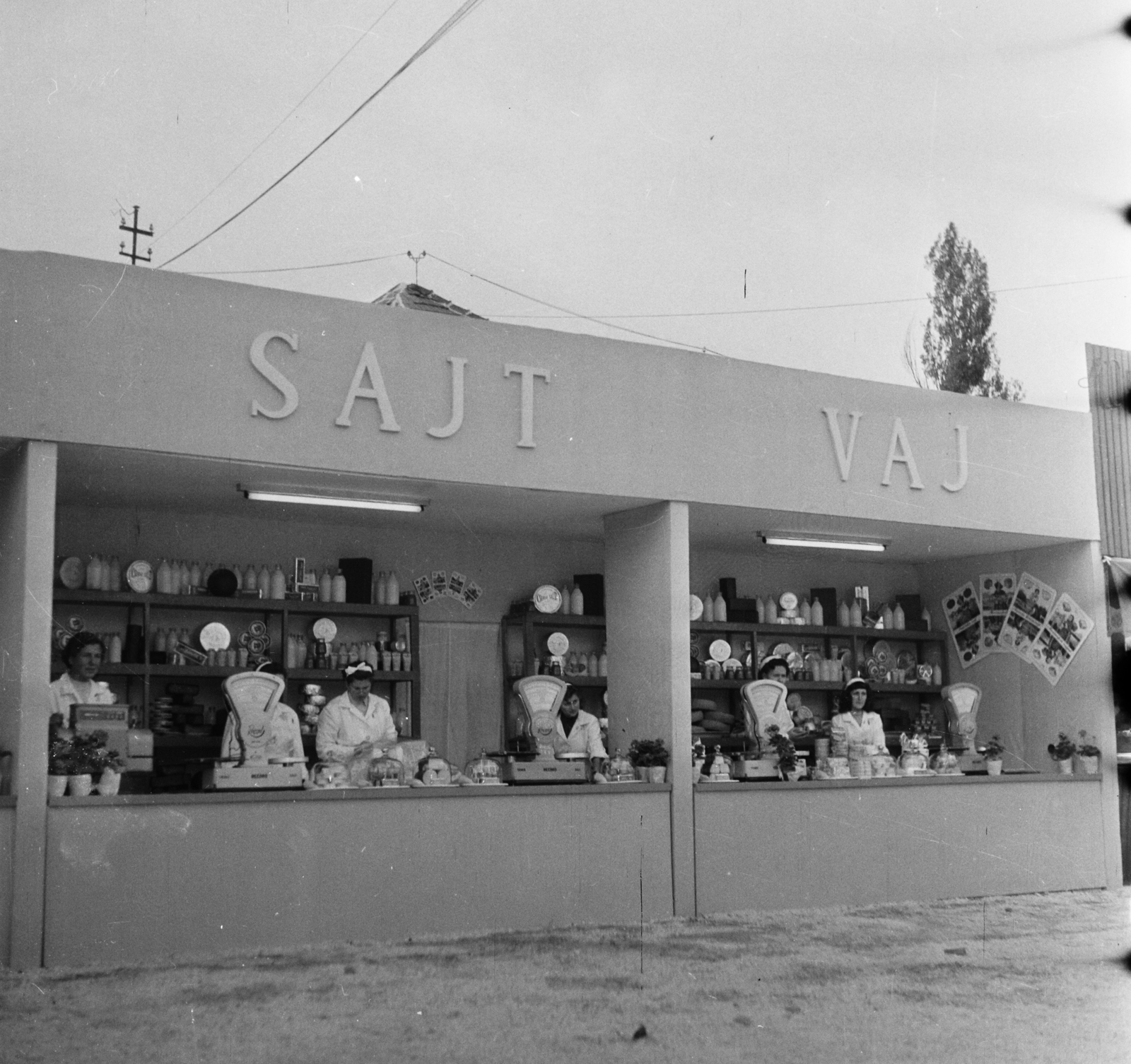 Hungary, Budapest X., Albertirsai úti vásár területe, Országos Mezőgazdasági Kiállítás és Vásár., 1958, Bauer Sándor, Budapest, photo aspect ratio: square, decoration, Fortepan #112755