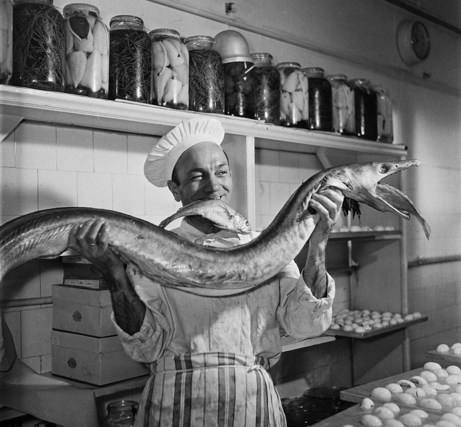 Hungary, Margit Islands, Budapest, Margitszigeti Nagyszálló, konyha., 1960, Bauer Sándor, kitchen, chef, fish, preserve, Fortepan #112783