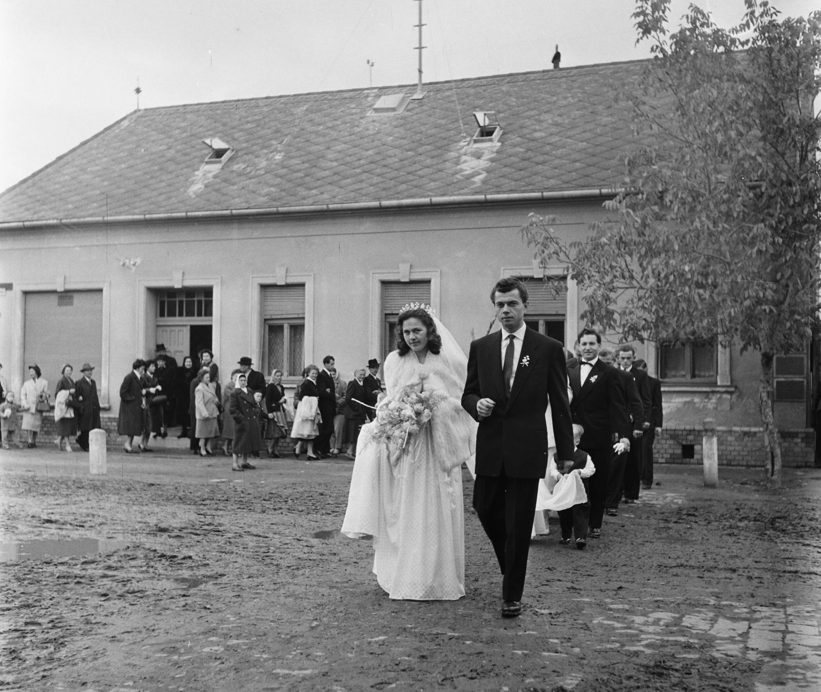 Hungary, Harta, 1958, Bauer Sándor, groom, bride, Fortepan #112834