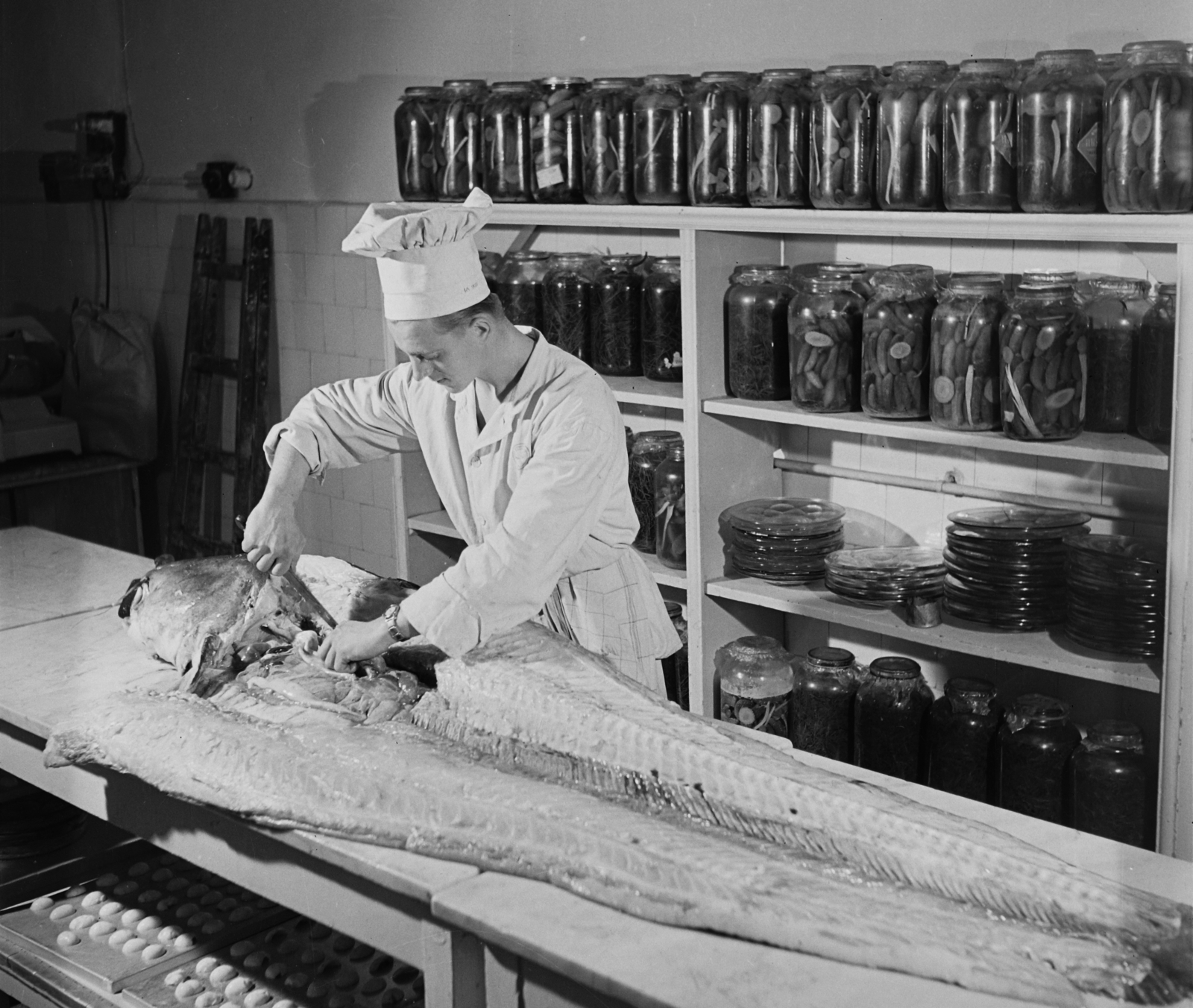 Hungary, Margit Islands, Budapest, Margitszigeti Nagyszálló., 1960, Bauer Sándor, kitchen, fish, catfish, Fortepan #112923