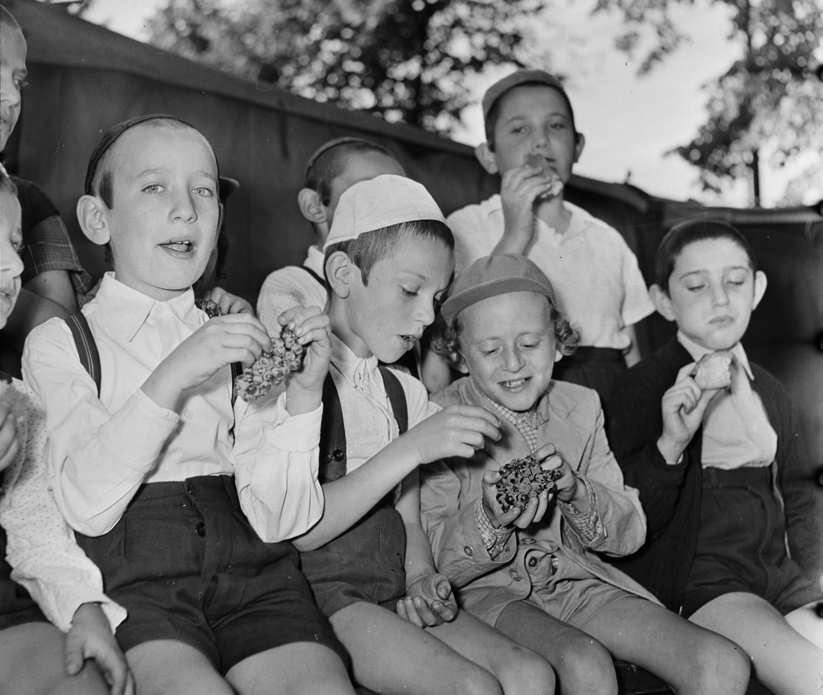 Hungary, Budapest XII., Buda­pesti Izraelita Hitközség Or­todox Tagozatának Szabadság-hegyi gyermeküdülője., 1959, Bauer Sándor, religion, meal, yard, tableau, tent, kids, boys, judaism, Budapest, sideburns, Fortepan #113006