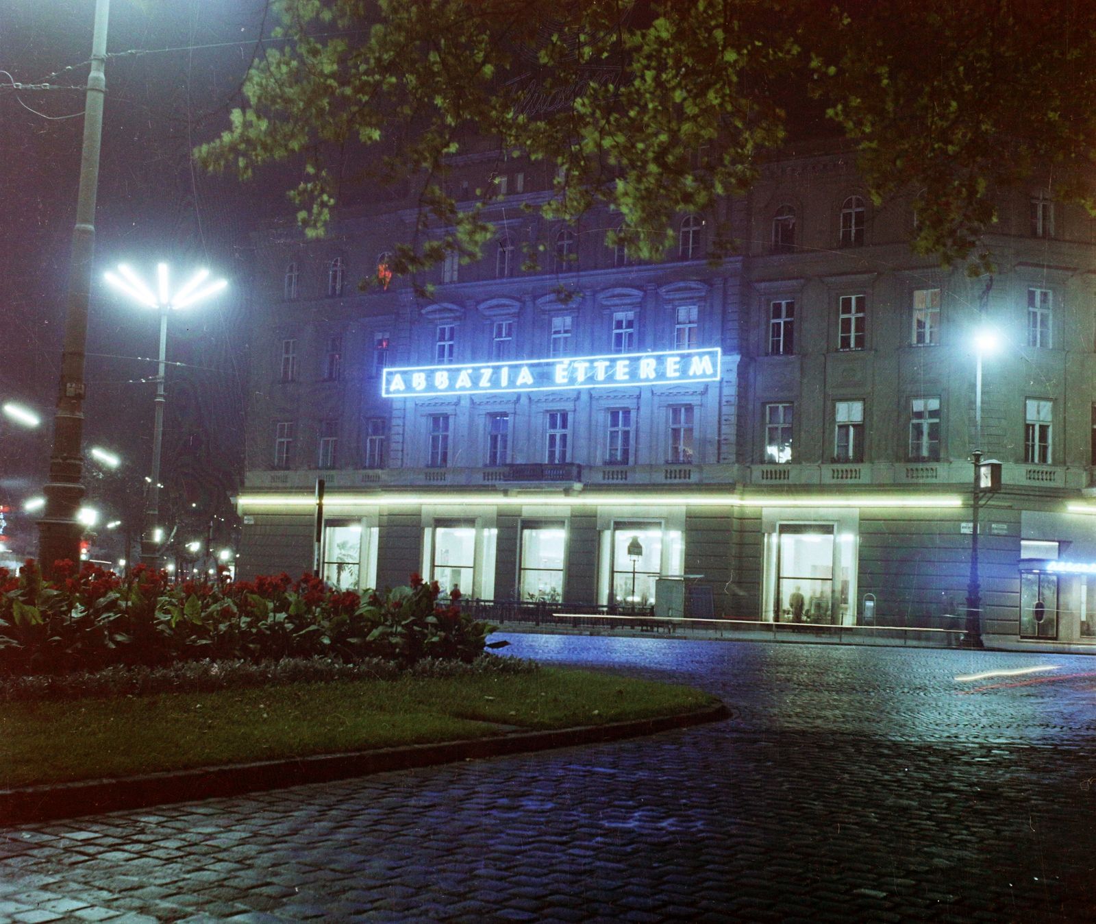 Hungary, Budapest VI., Oktogon (November 7. tér), Abbázia kávéház., 1960, Bauer Sándor, colorful, night, neon sign, Budapest, Fortepan #113129